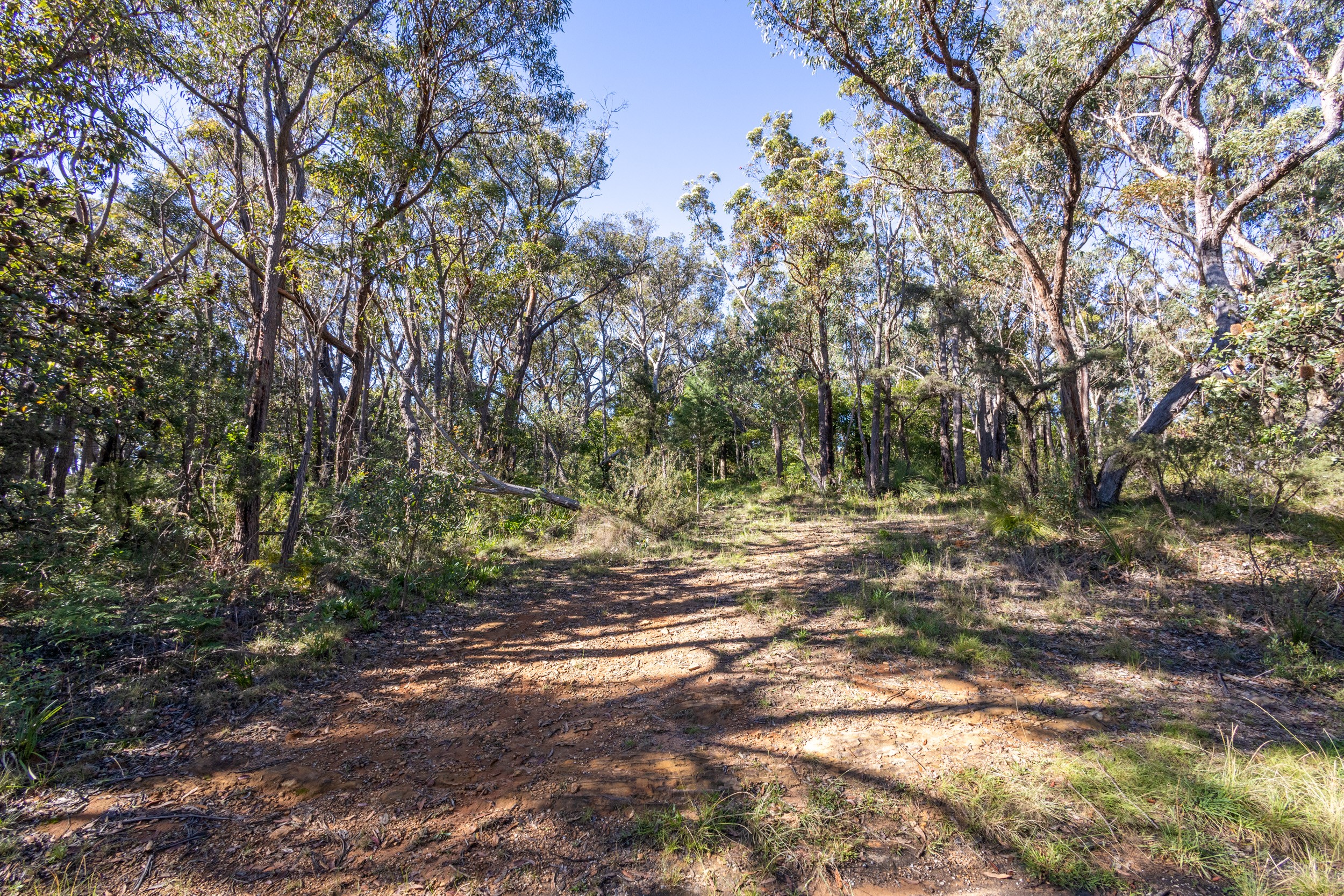 23 Lurline Street, Wentworth Falls, NSW 2782