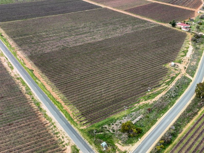 234 Thiele Road, Loveday, SA 5345