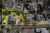 79A Oranga Avenue photo 14