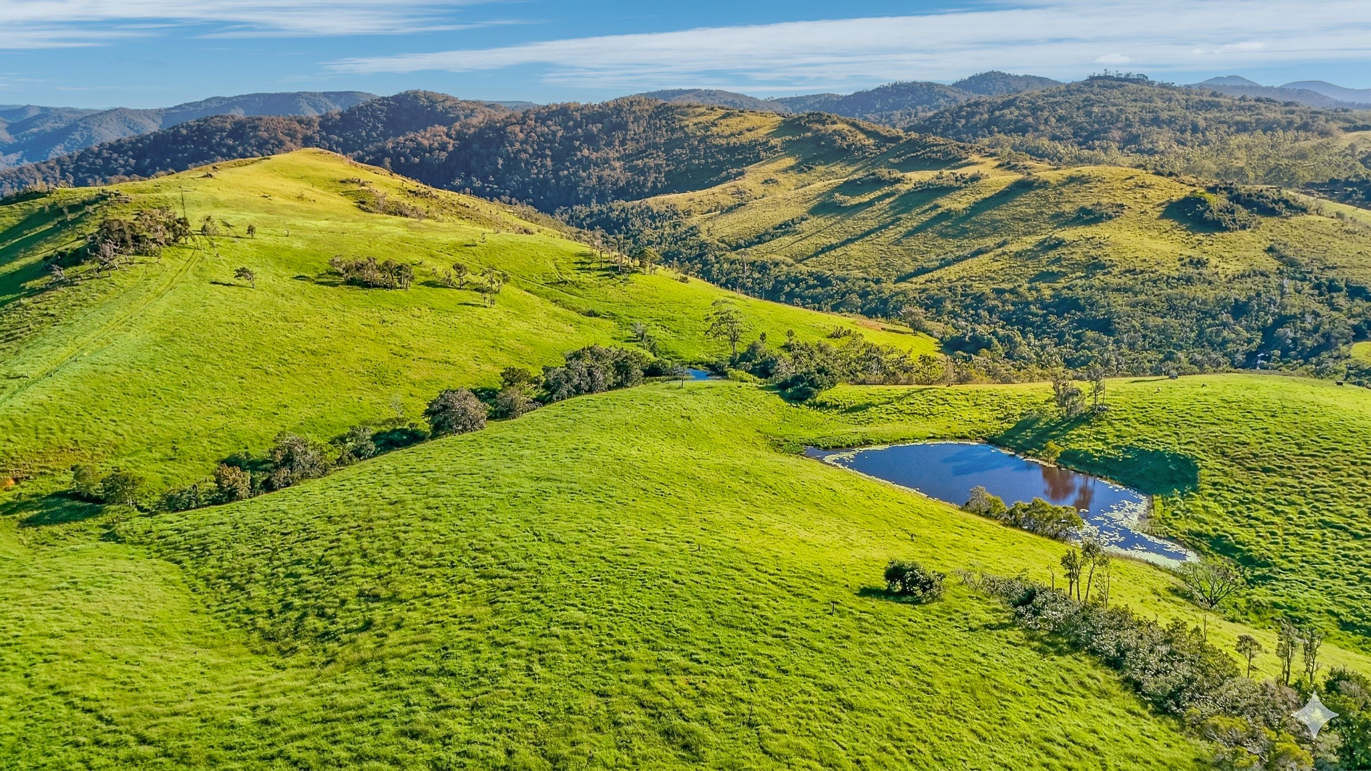 110 Blacks Road — photo from Ray White Rural Sarina