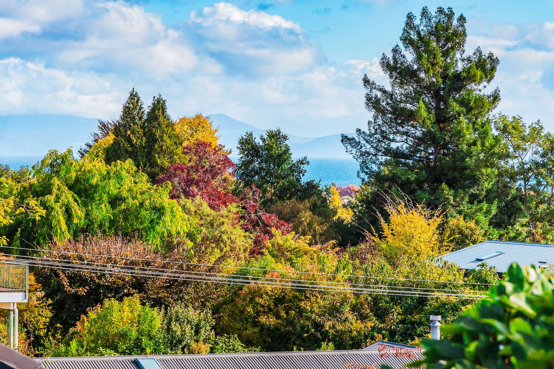 26 Arrowsmith Avenue photo 28