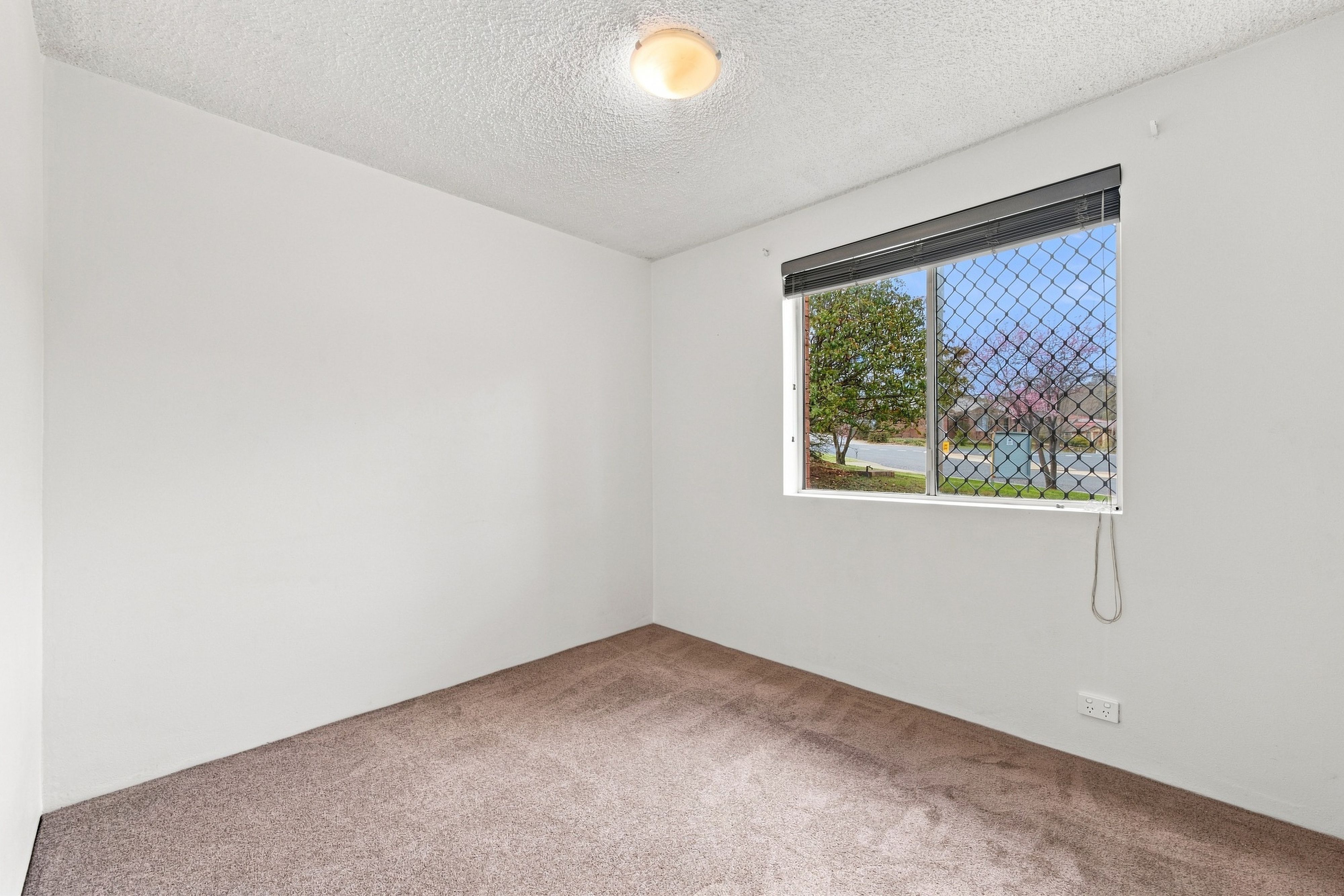 3/16 Yarrow Street — photo 16 of 20