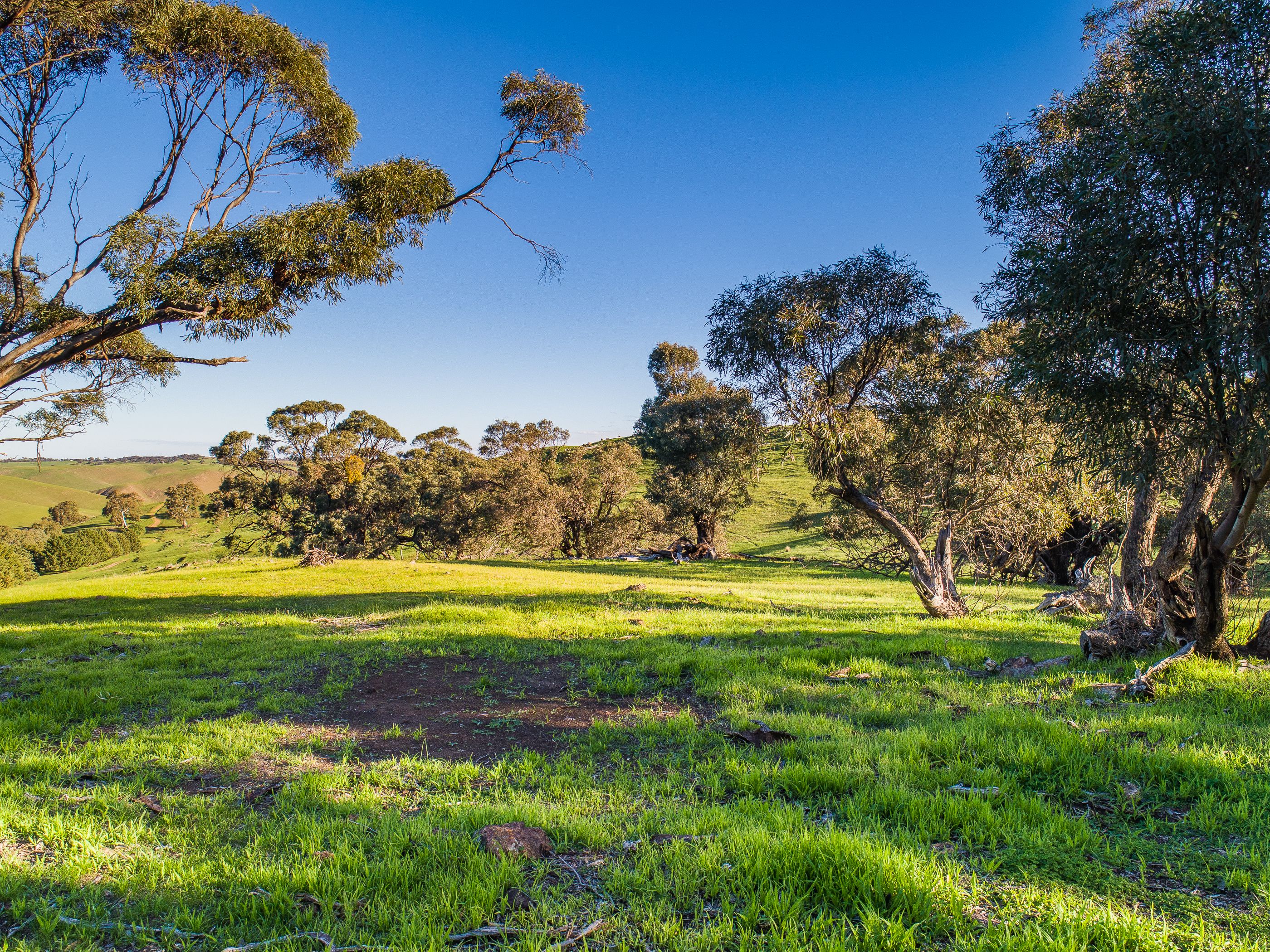 Lot 103 Back Callington Road, Mount Barker Springs, SA 5251