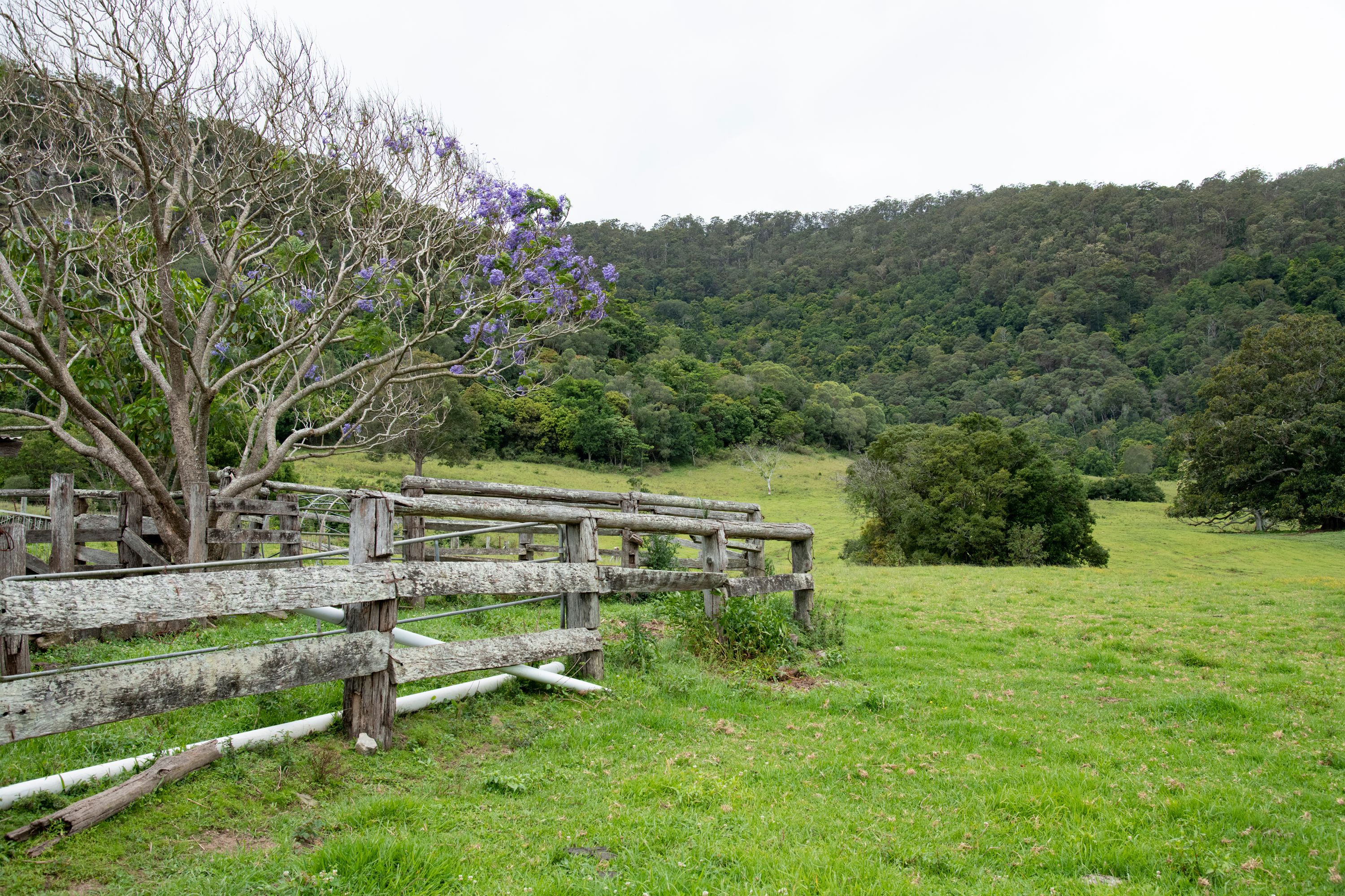 Lot 3 on SP196368 Currey Road, Wongawallan, QLD 4210 Sold Rural