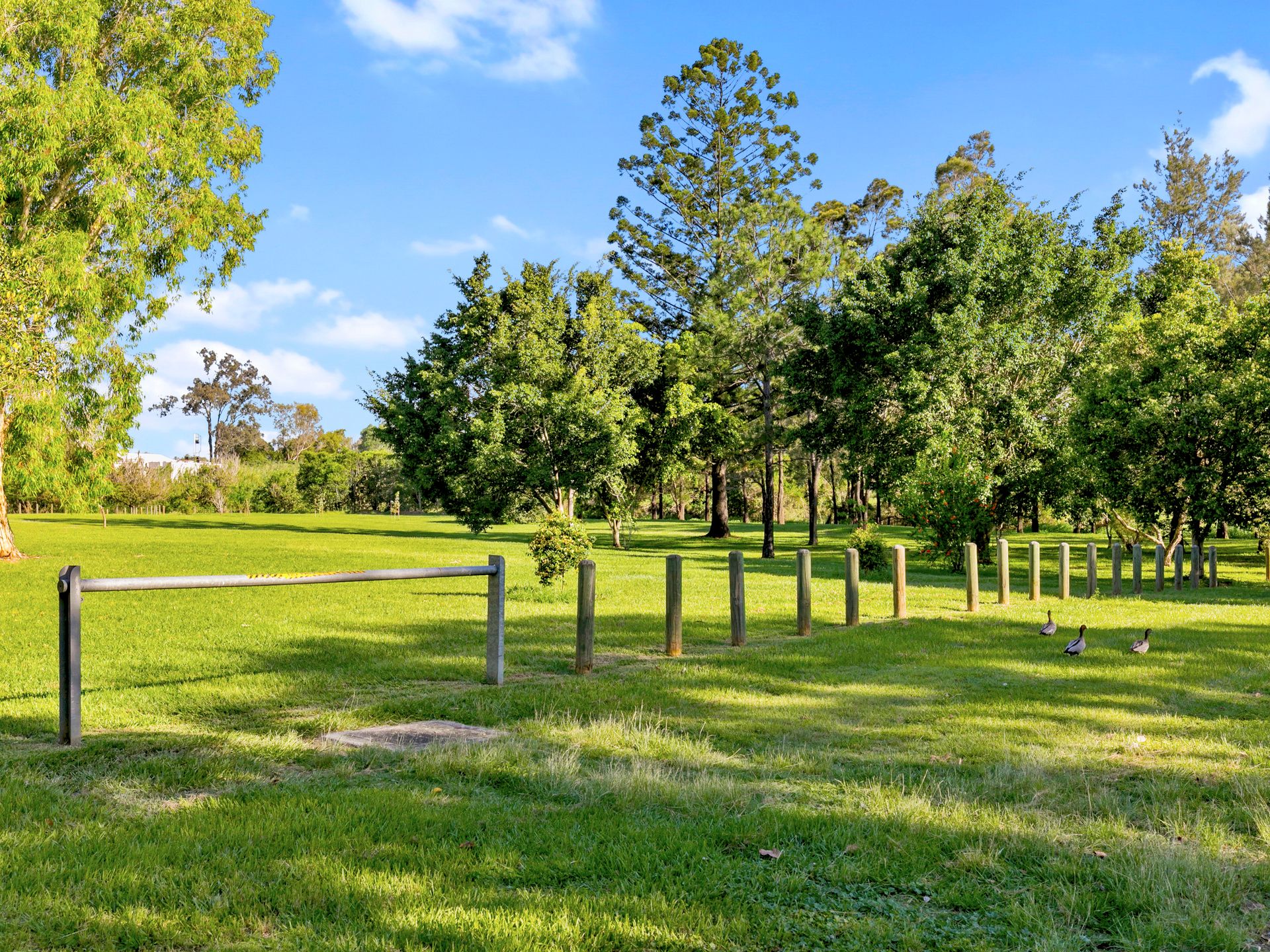 10 Allawah Street, Yeerongpilly, QLD 4105