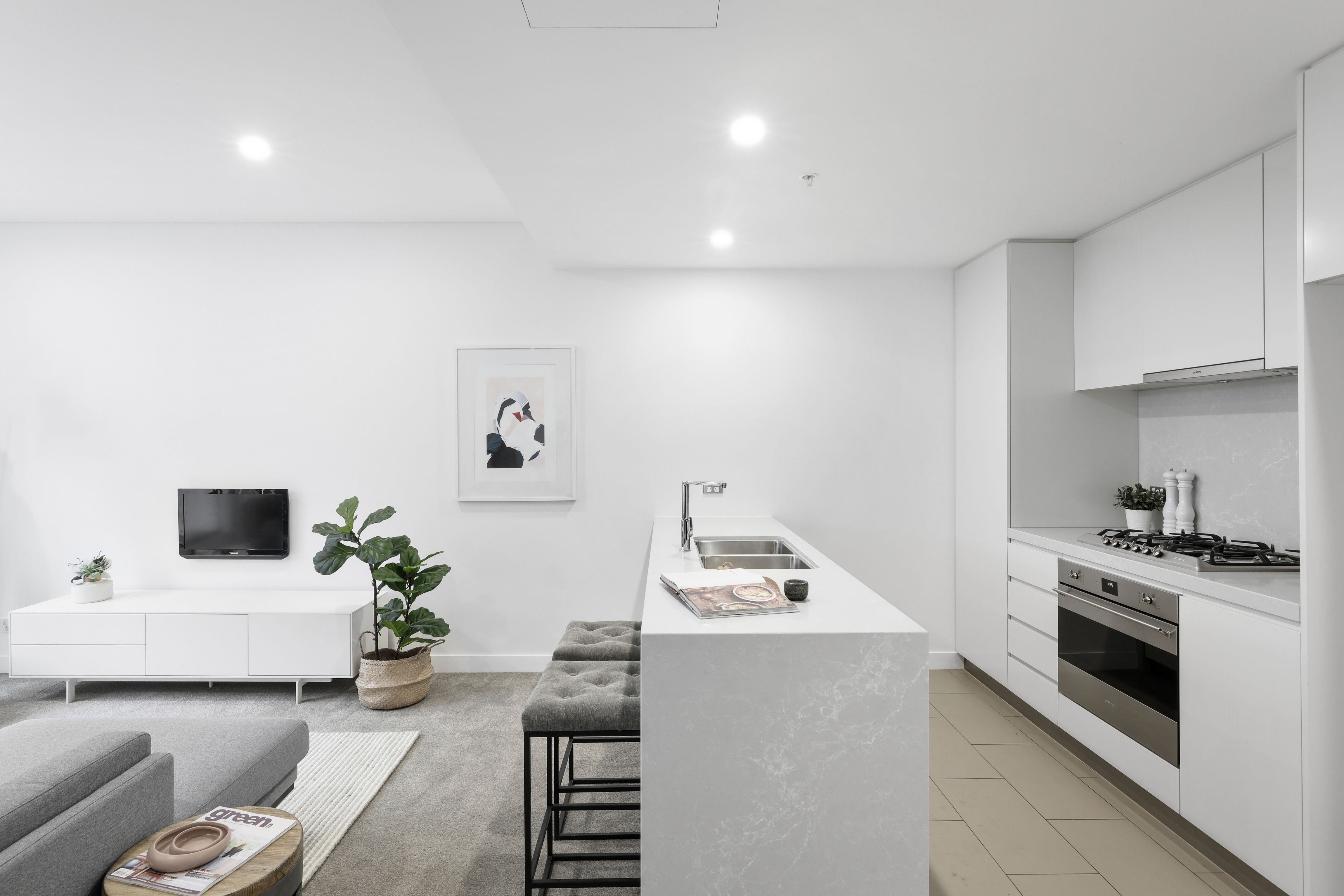 13 Chisholm Street, Wolli Creek, NSW 2205
