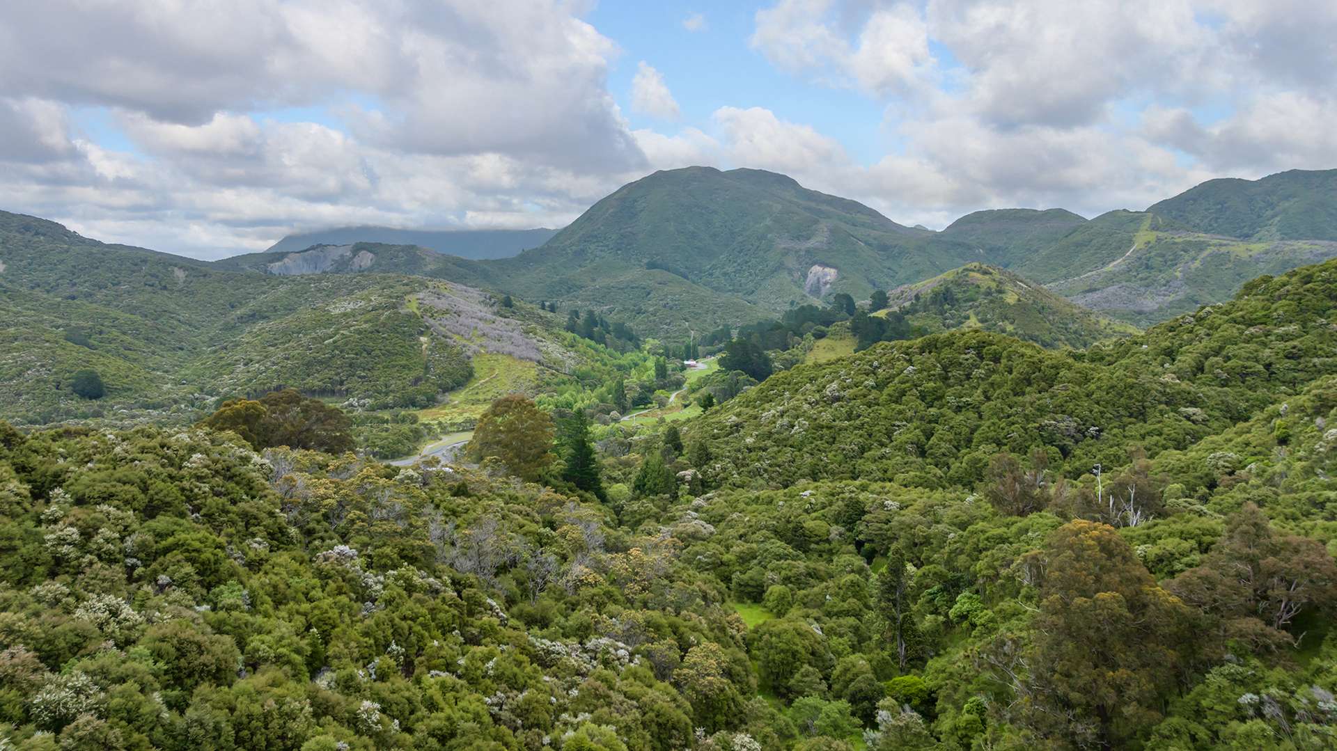 418 Kaiwaka Road photo 3