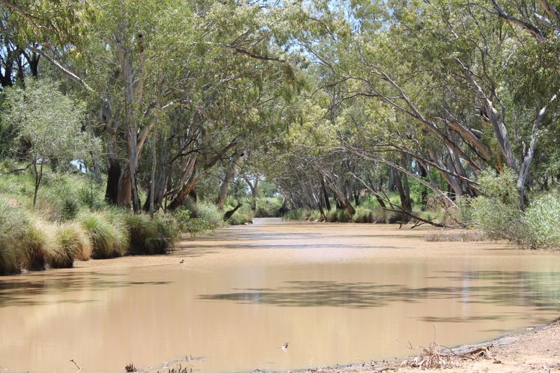 4895 TEELBA Road, QLD Rural Rural Livestock Property Sold