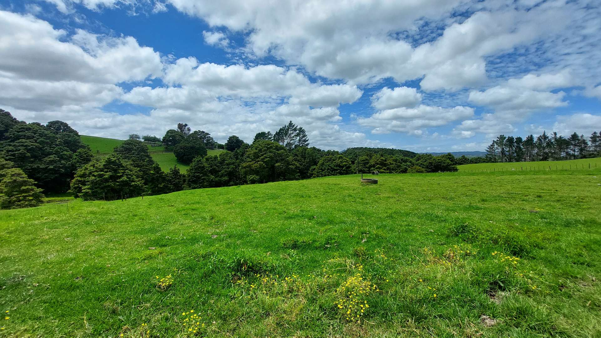 105 Tudehope Road photo 32