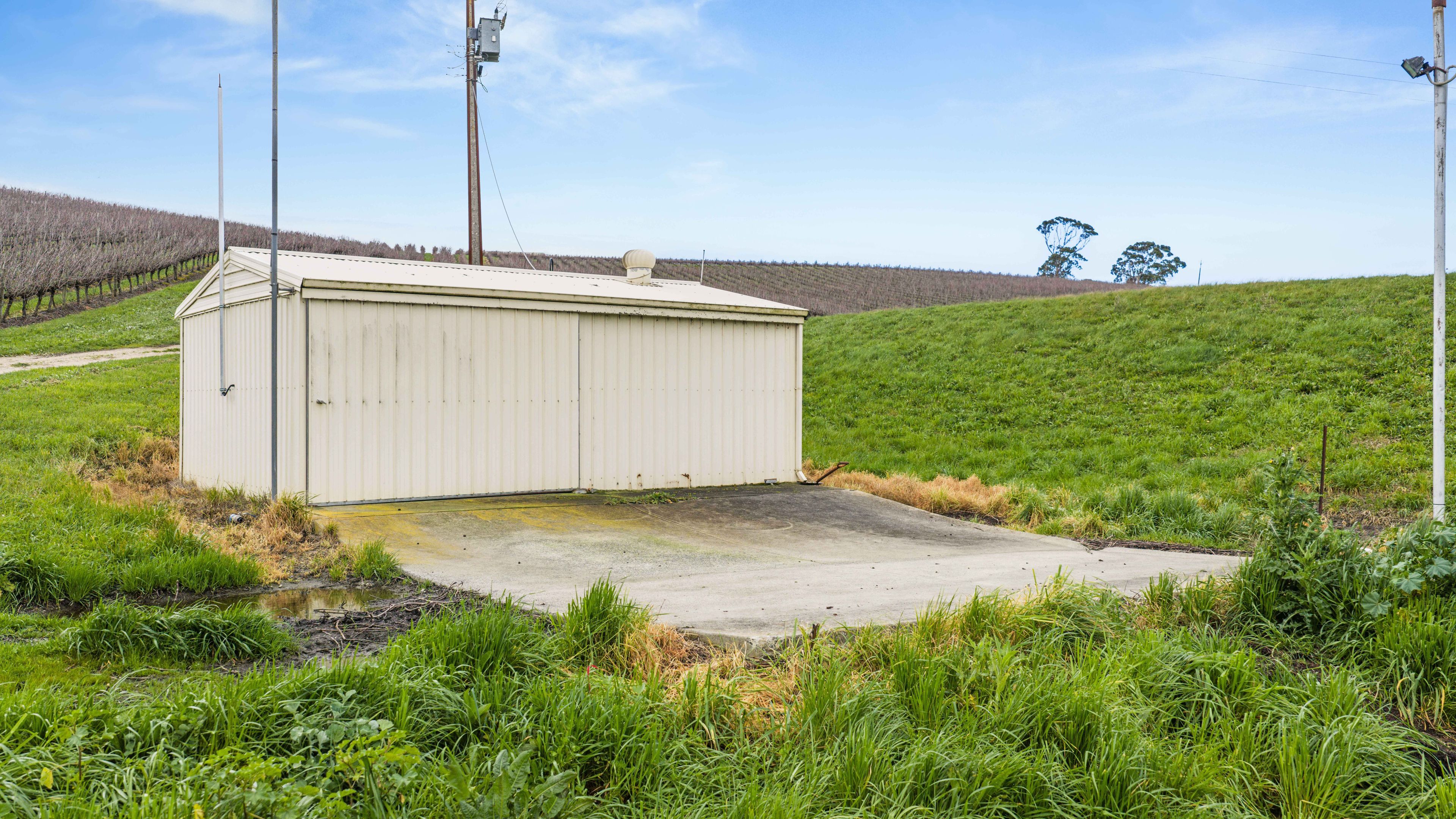 81 Daniels Road — photo 11 of 18