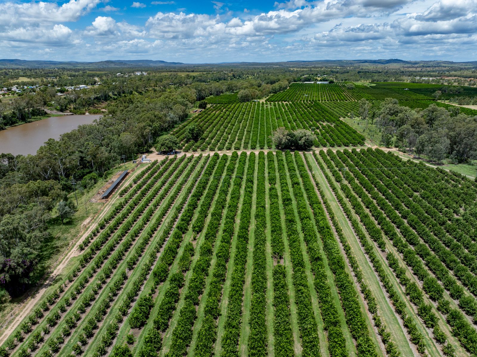 Ray White Rural & Livestock • 100 Sandersons Lane, Mundubbera, QLD – Rural