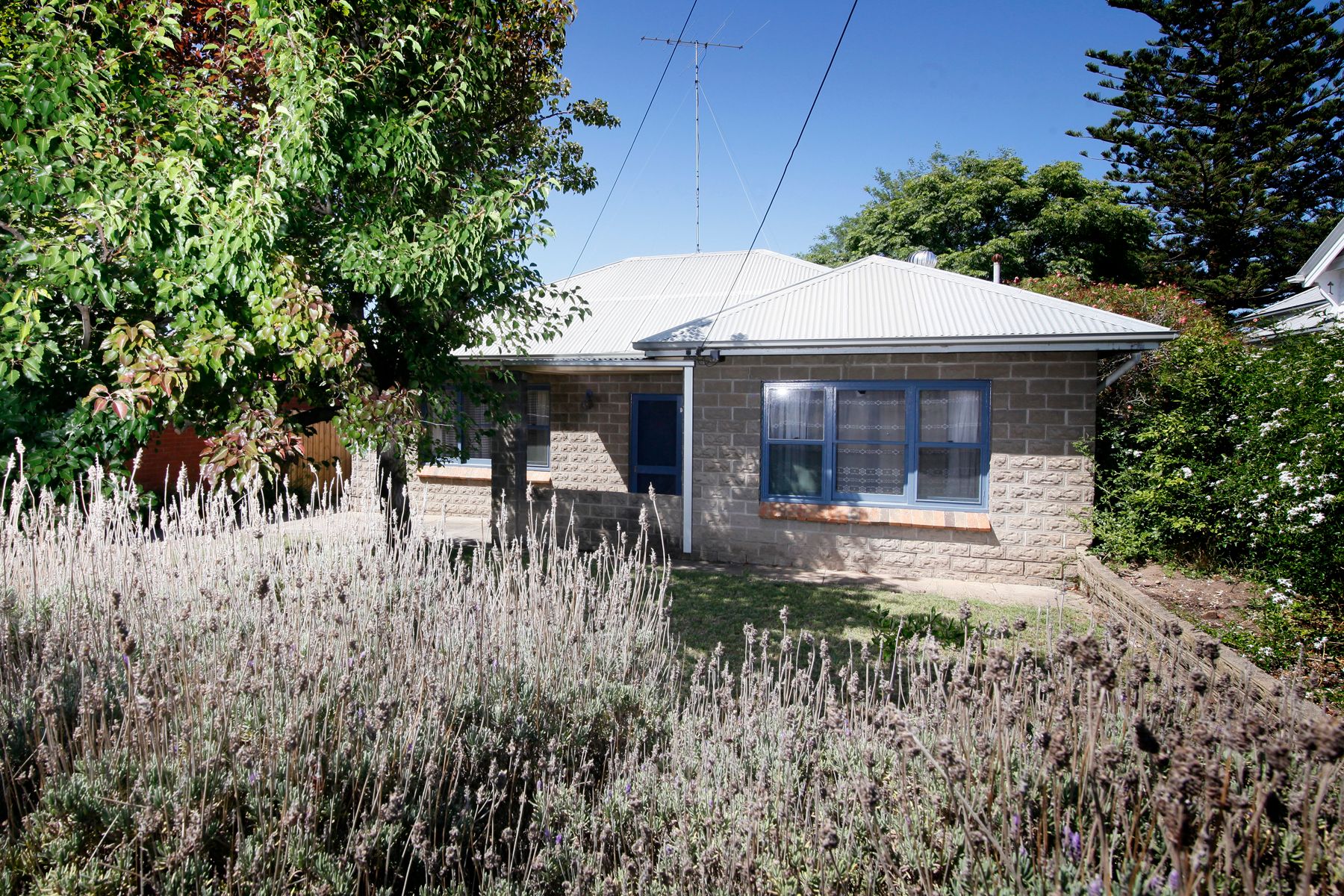 33 Clarke Street, Newtown, VIC 3220
