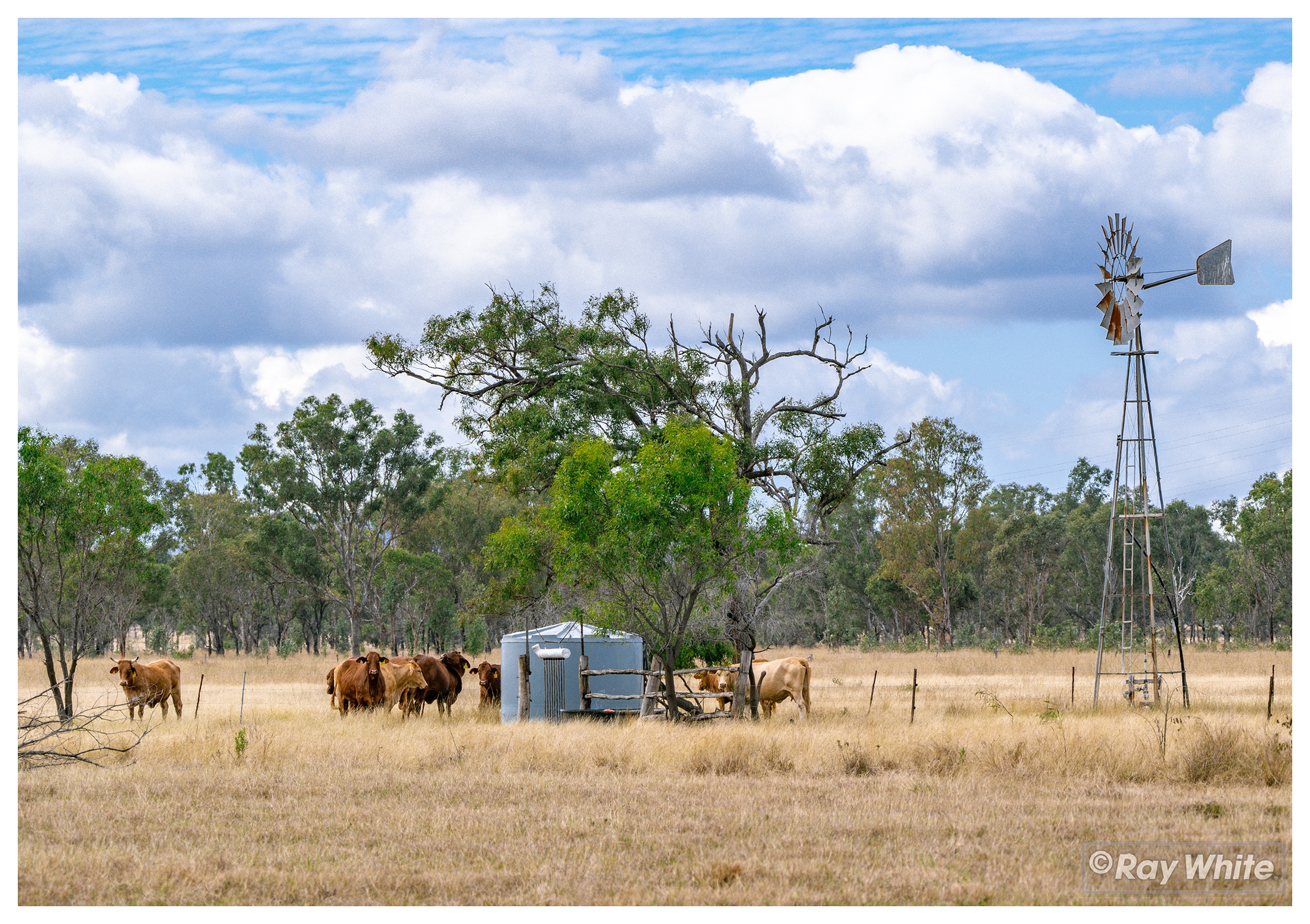 1020 Ridgelands Road, Alton Downs, QLD 4702