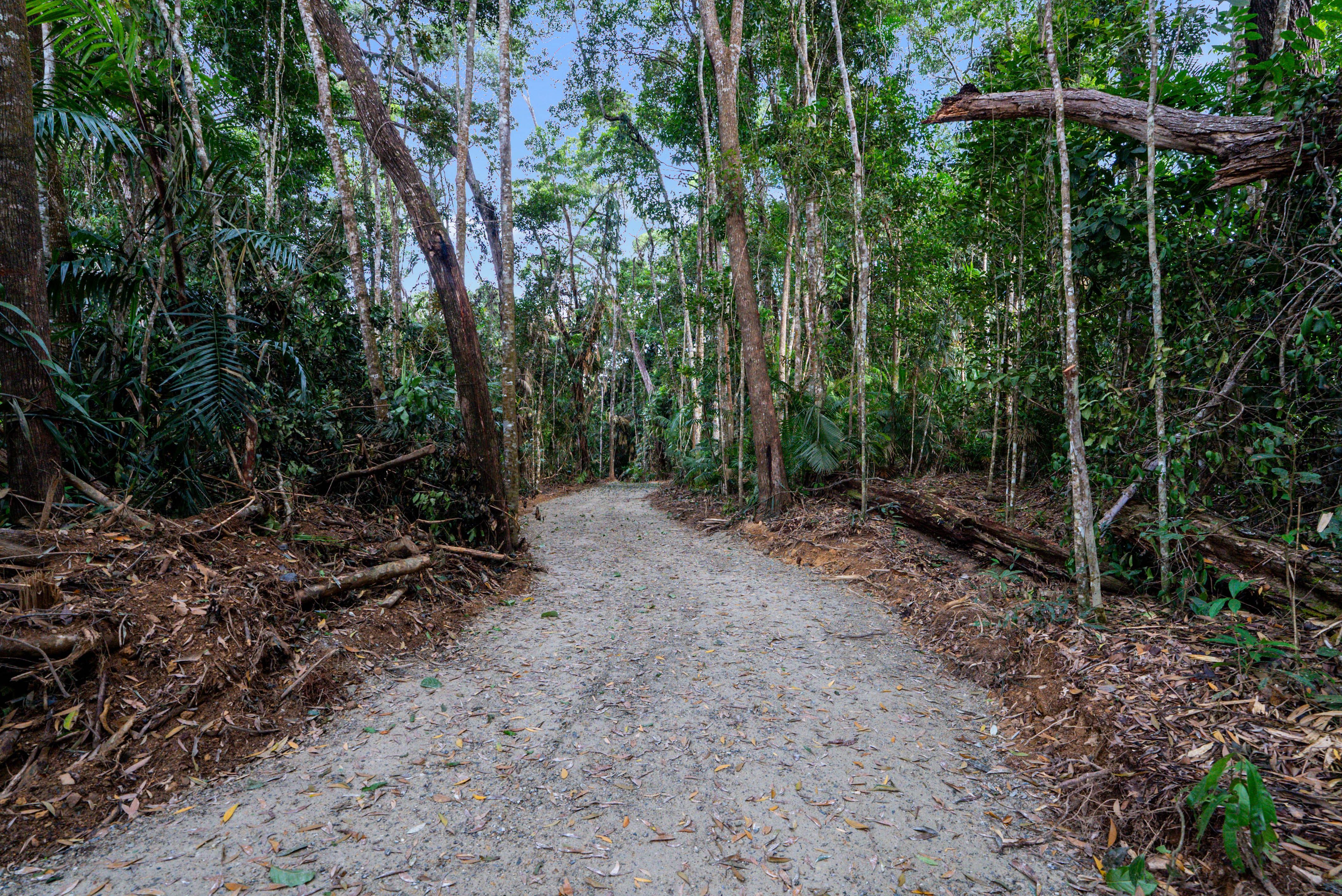 Lot 131 Myola Road, Kuranda, QLD 4881