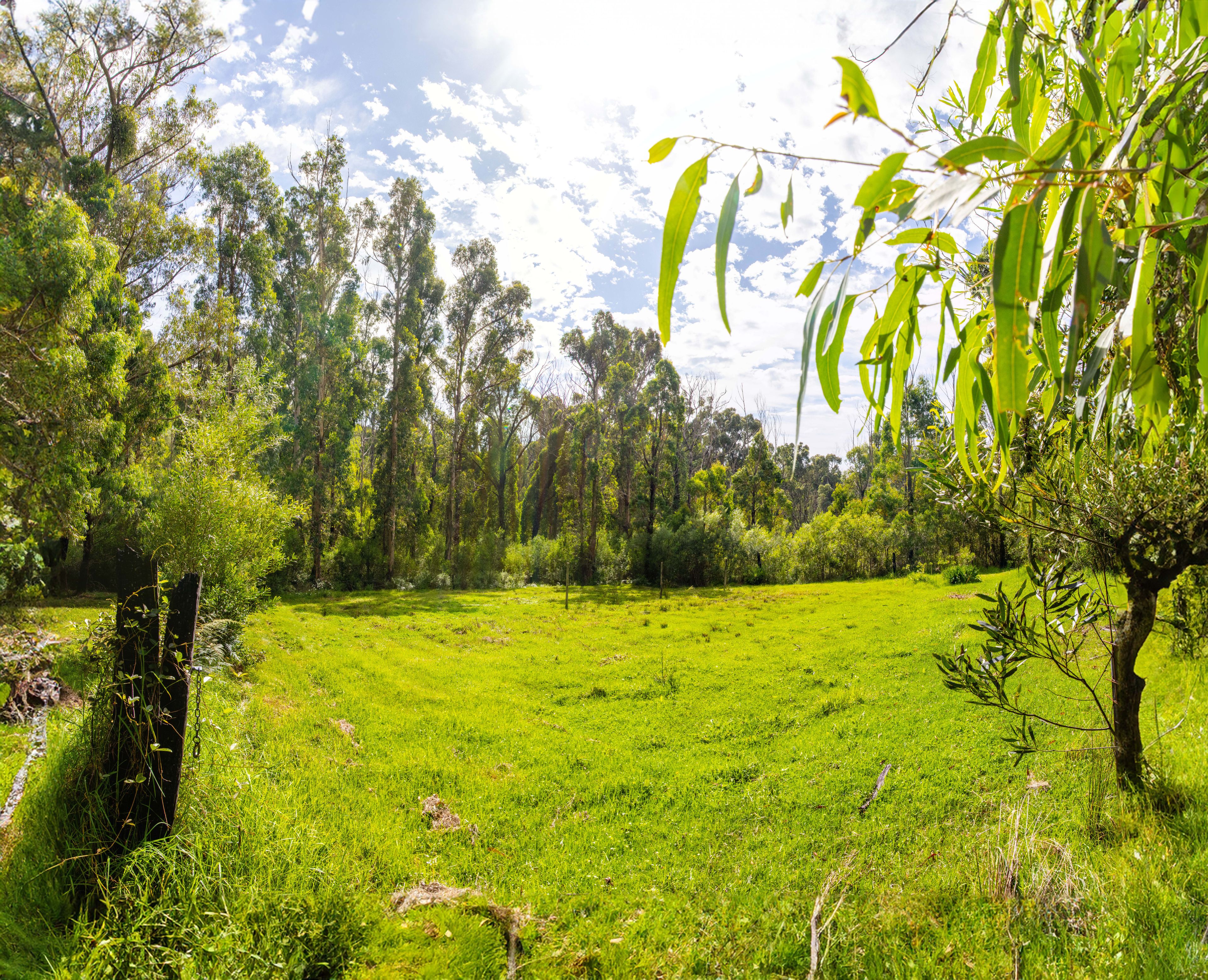 Lot 4 Braidwood Road — photo 16 of 17