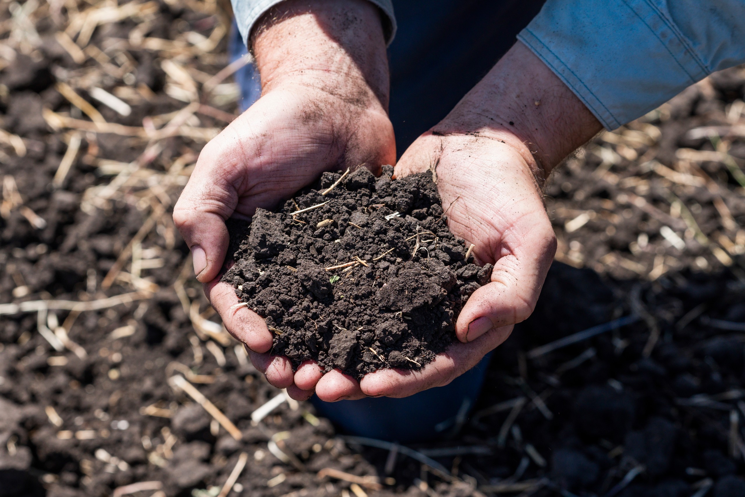 298 Cronin Road, Mount Tyson, QLD 4356