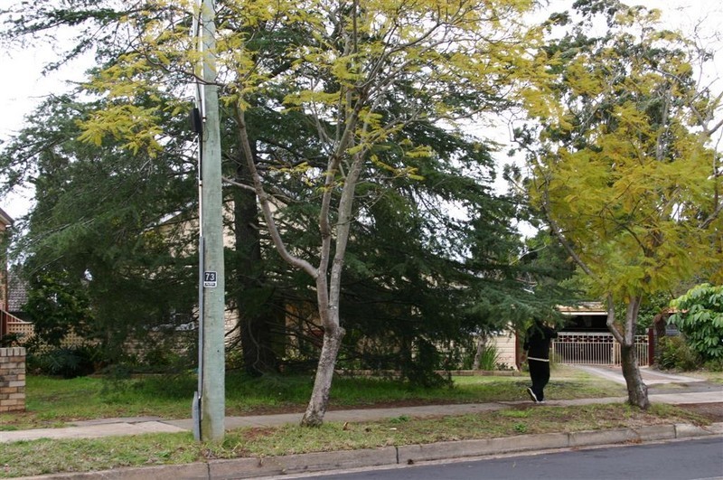 75 Old Castle Hill Road, Castle Hill, NSW 2154