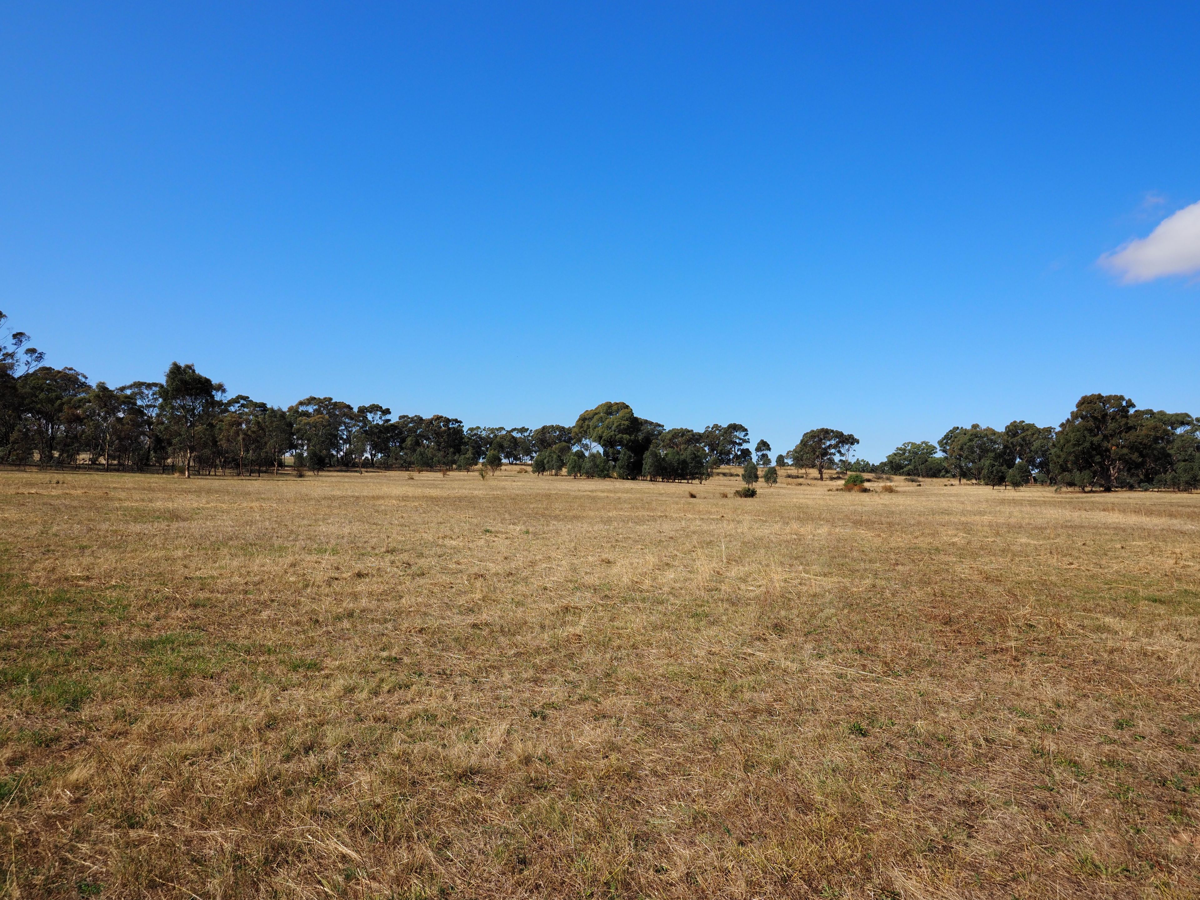 55 Holmes Road, Majorca, VIC 3465