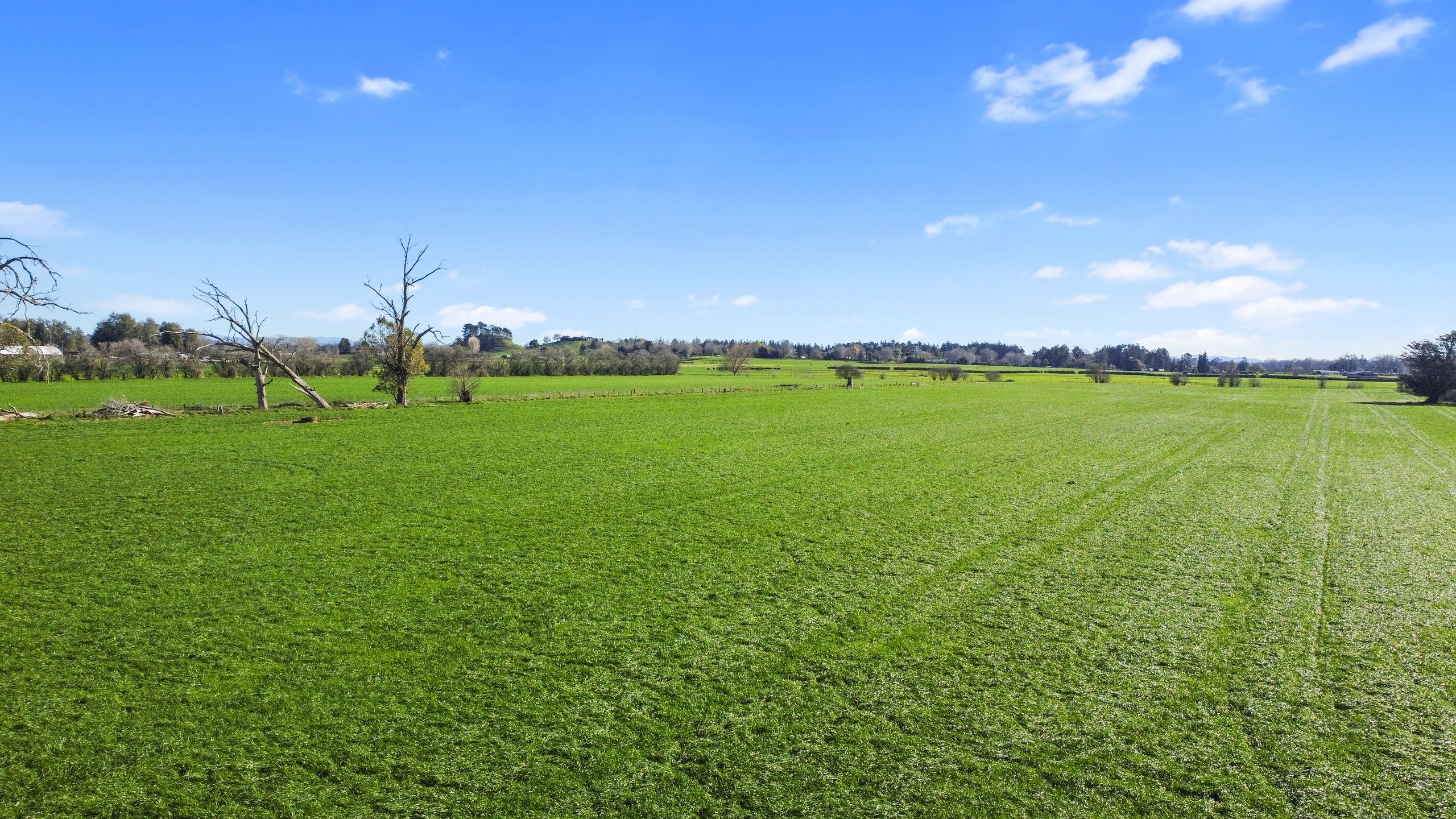 90 Duncan Road, Tamahere, Waikato District