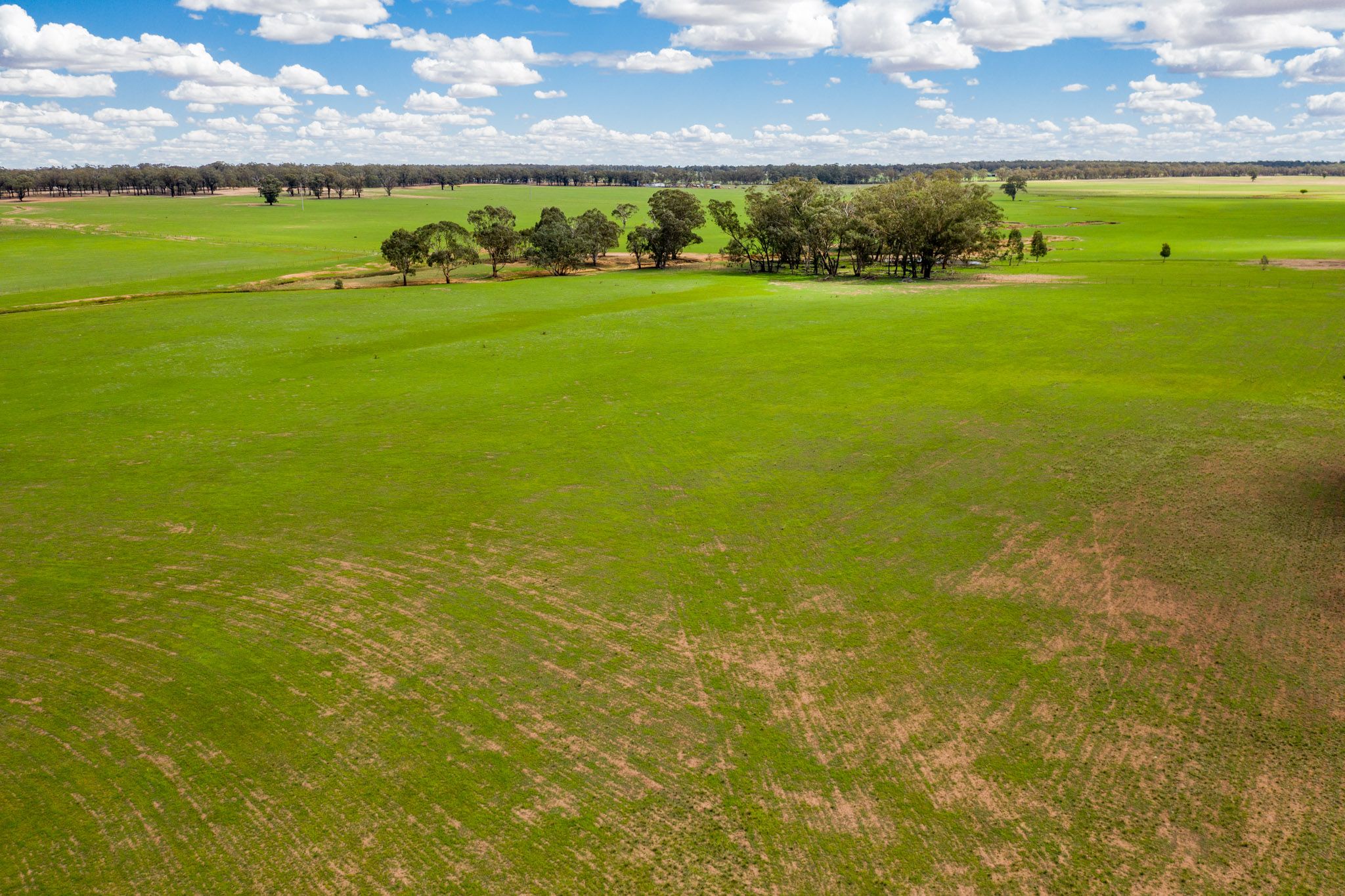 61 Rosena Road, Temora, NSW 2666