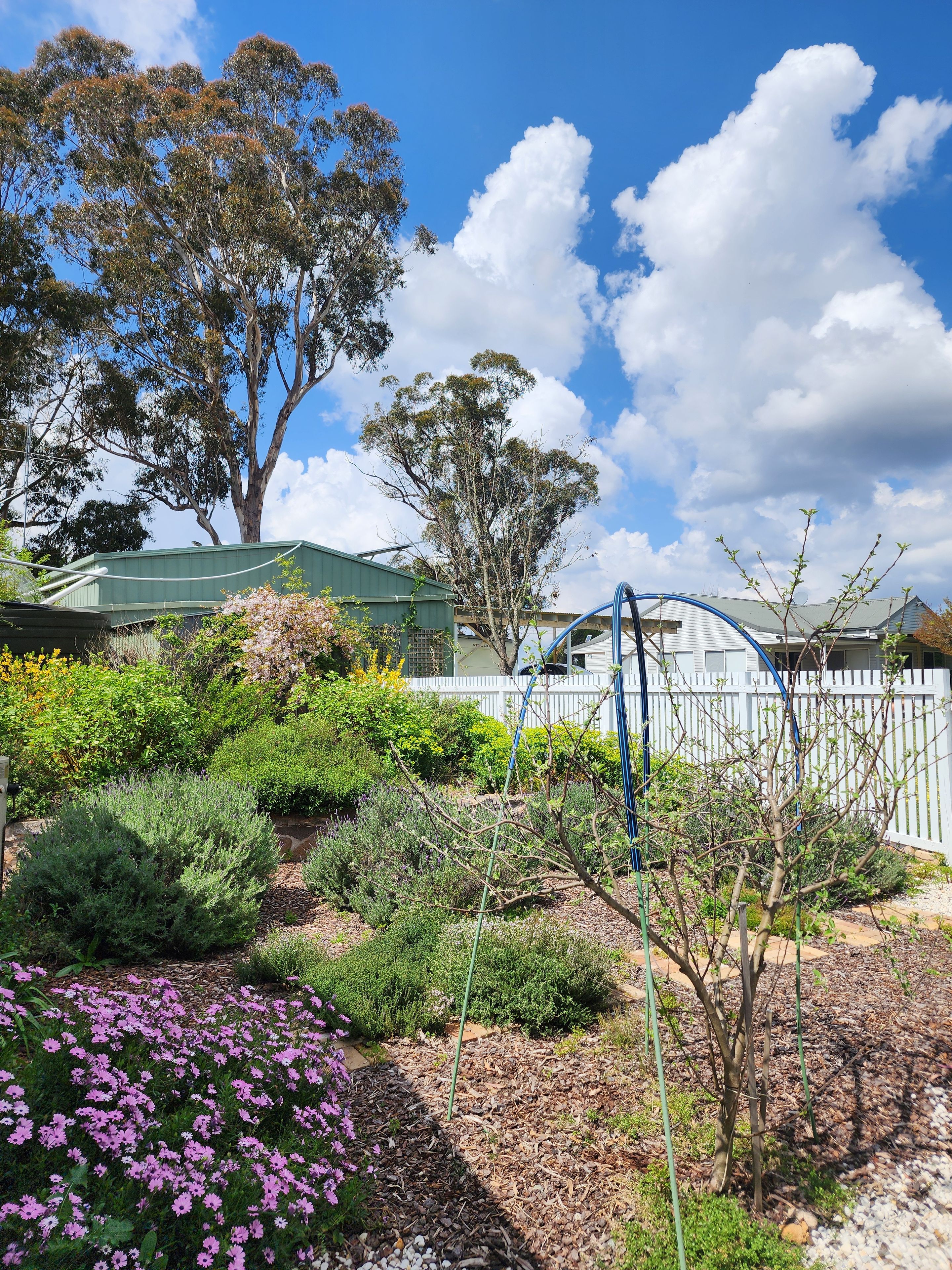 60a Daintree Close — photo 7 of 19