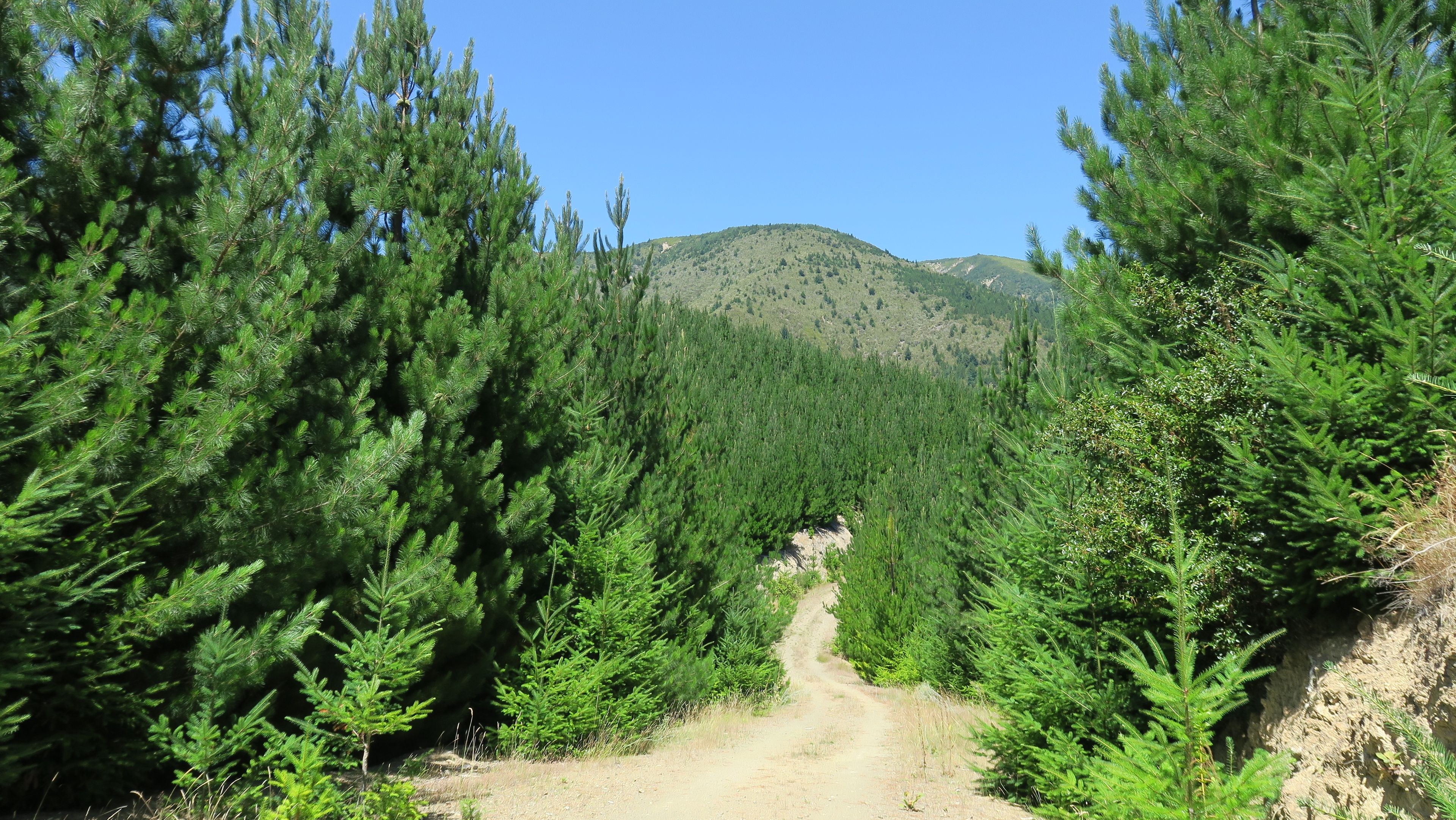 6555 State Highway 63, Wairau Valley, Marlborough District 7271 Rural