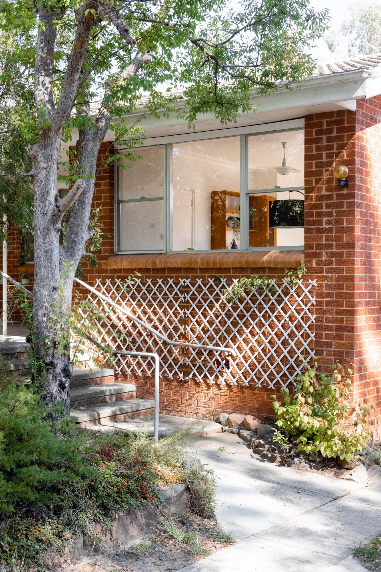 8 Wongoola Close, O'Connor, ACT 2602