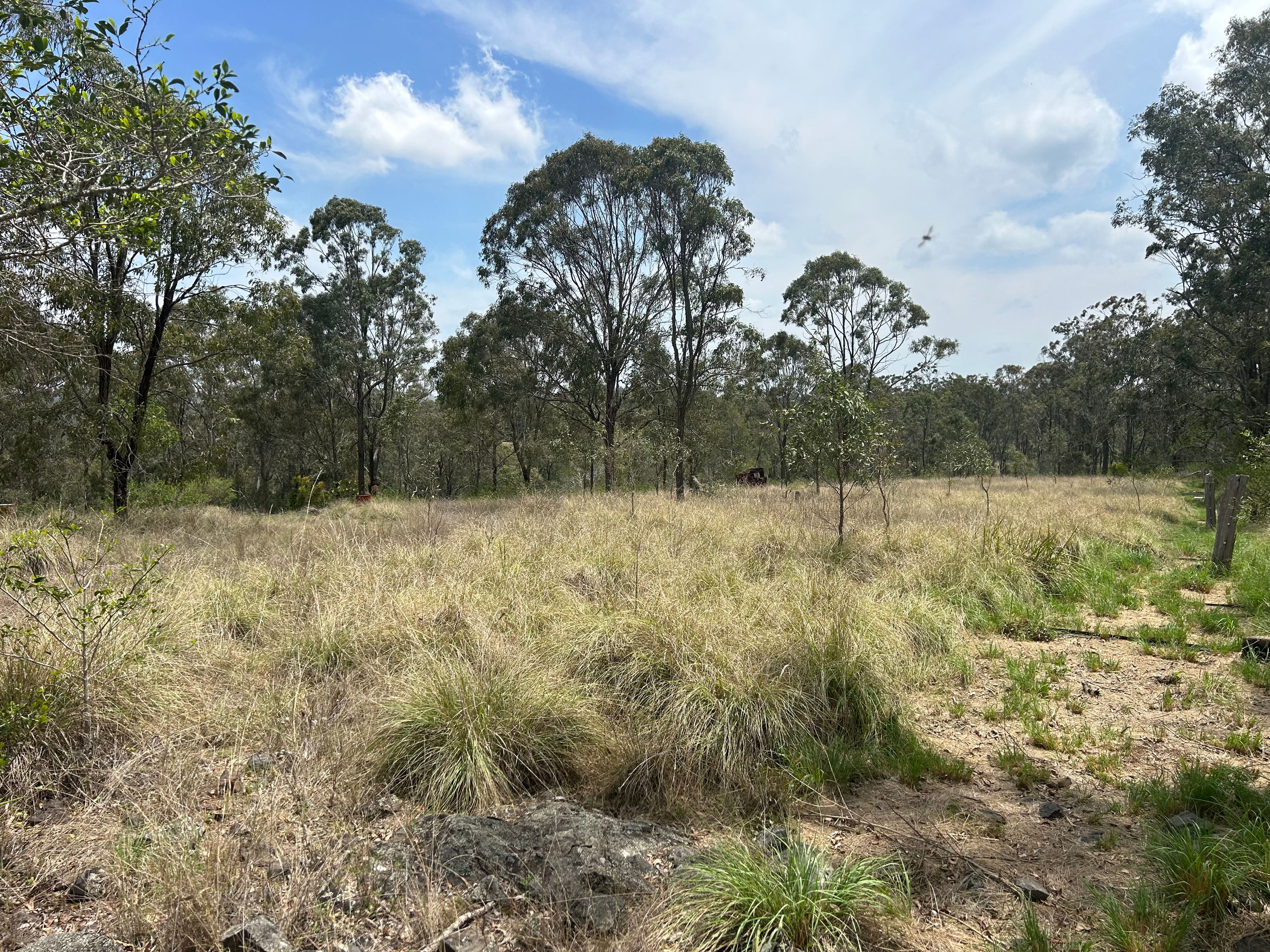 Lot 25 Cooyar Rangemore Road, Cooyar, QLD 4402
