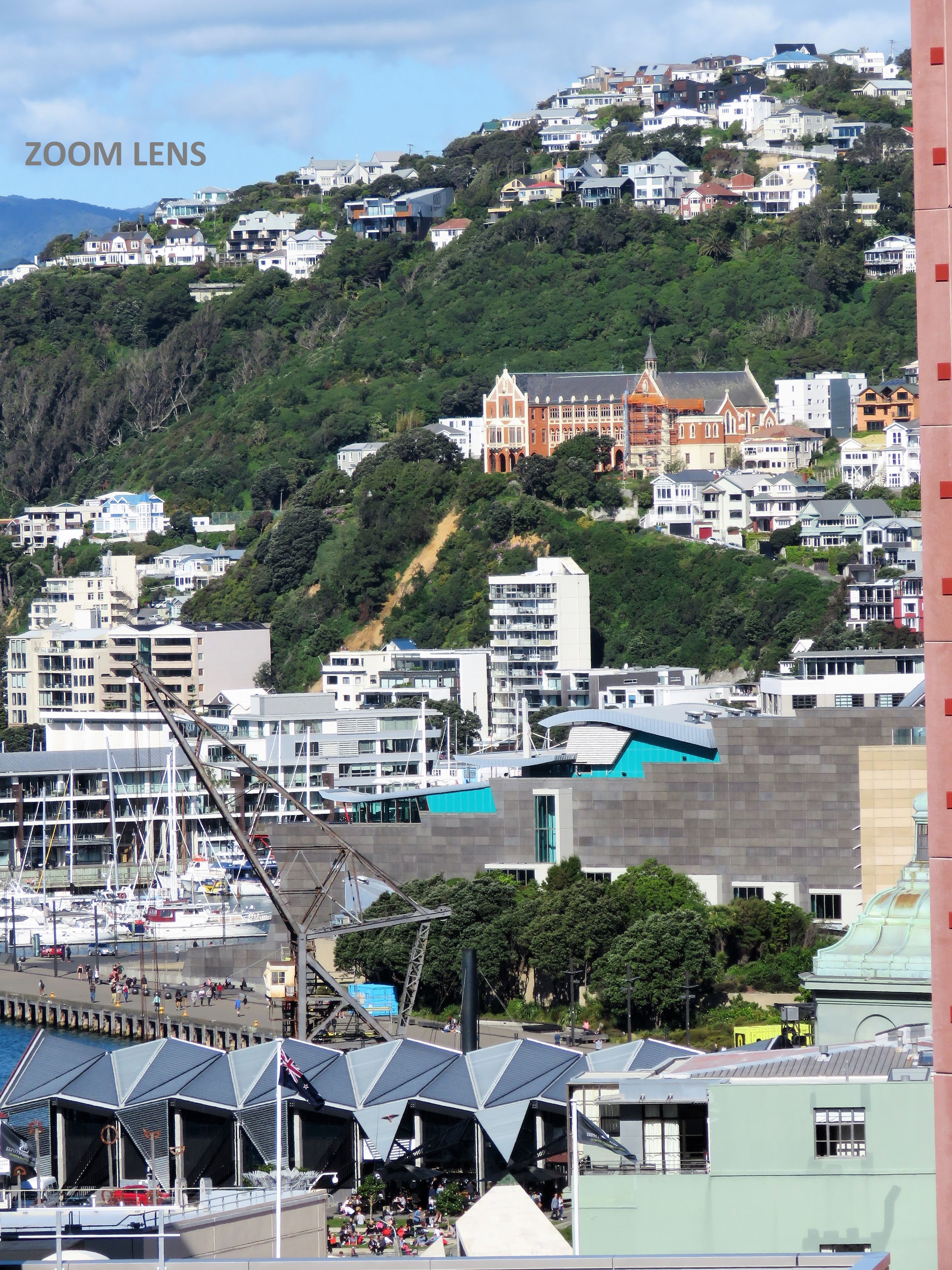 235/217 The Terrace, Te Aro, Wellington City