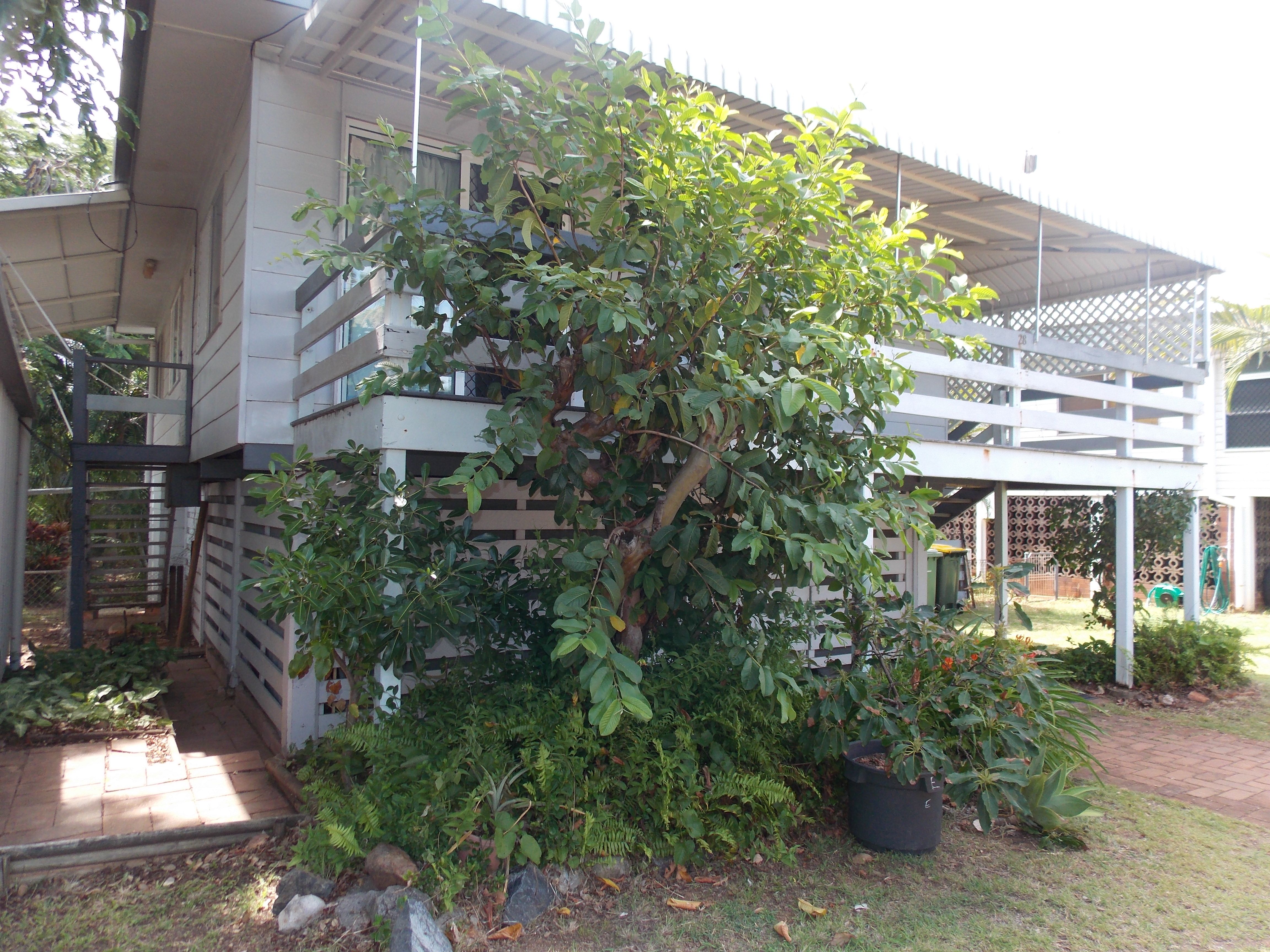 28 Todd Avenue, Yeppoon, QLD 4703