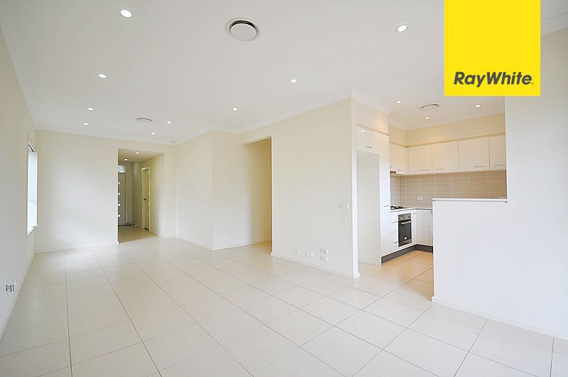 13 Eucalyptus Street, Lidcombe, NSW 2141