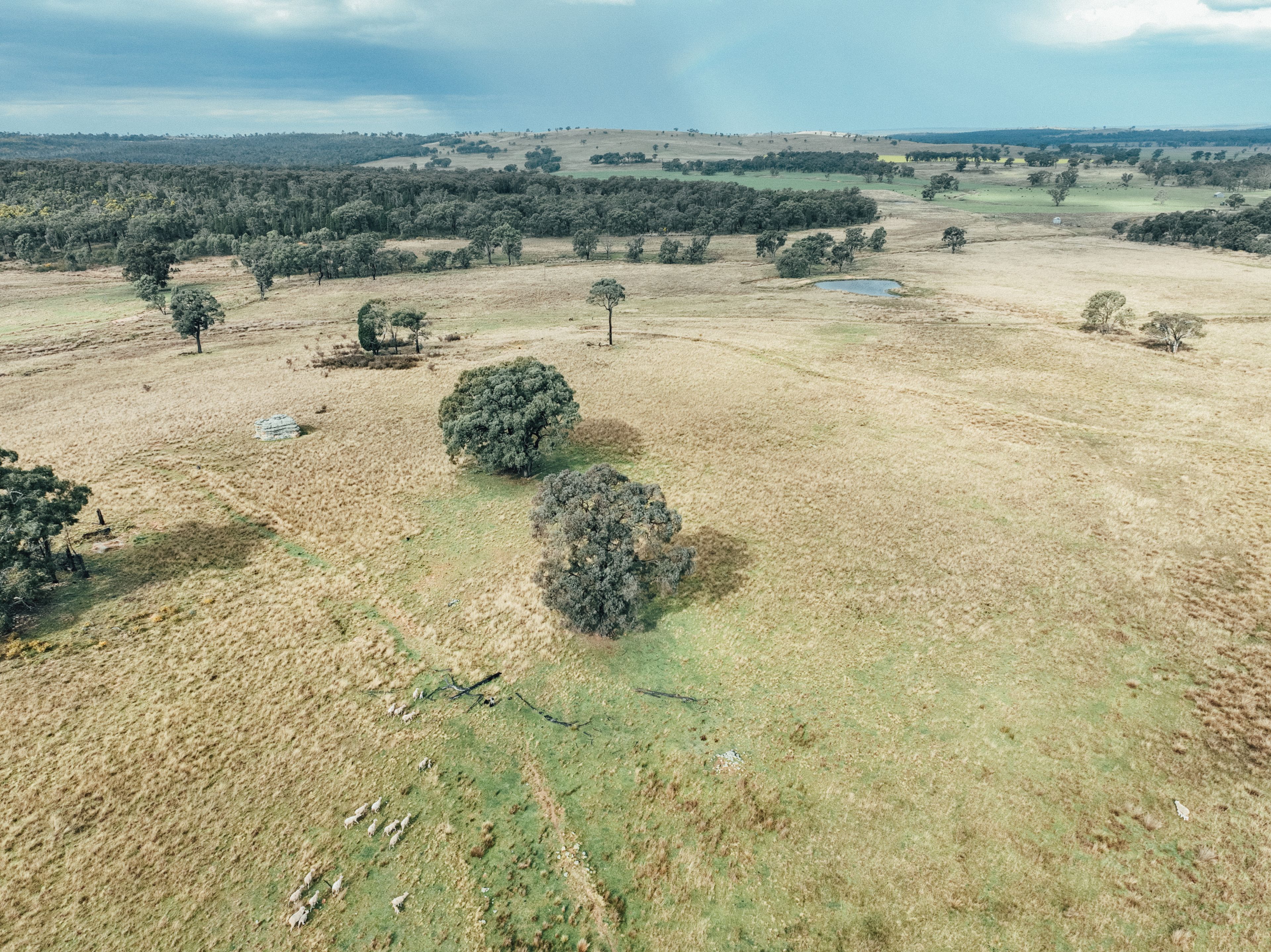 13999 Golden Highway, Dunedoo, NSW 2844