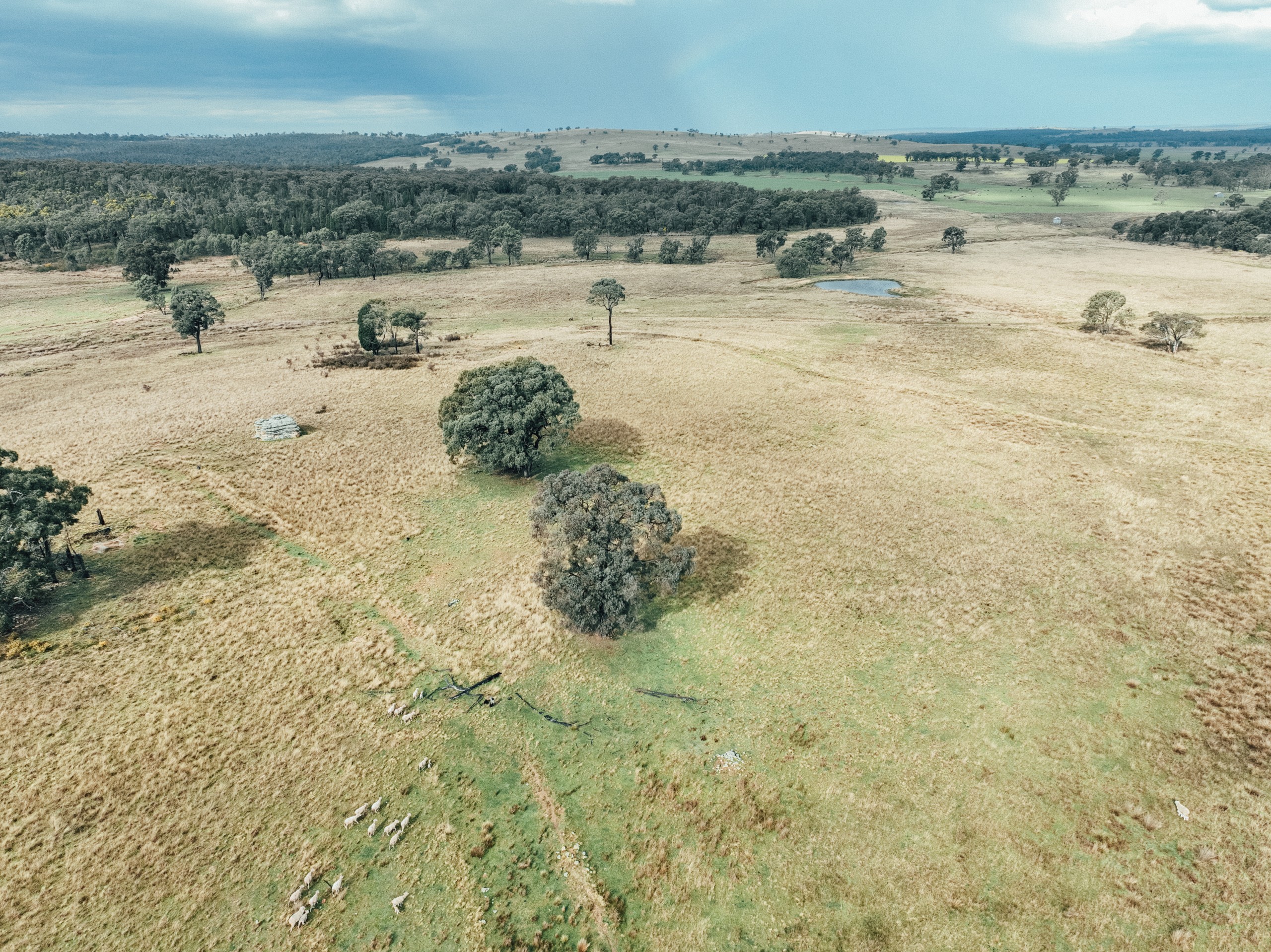 13999 Golden Highway, Dunedoo, NSW 2844