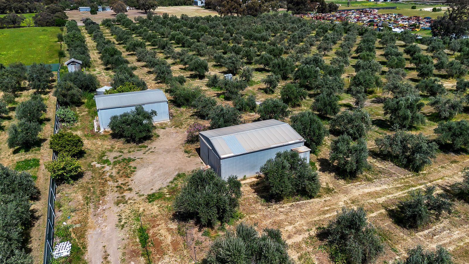 18 McCord Road, Two Wells, SA 5501