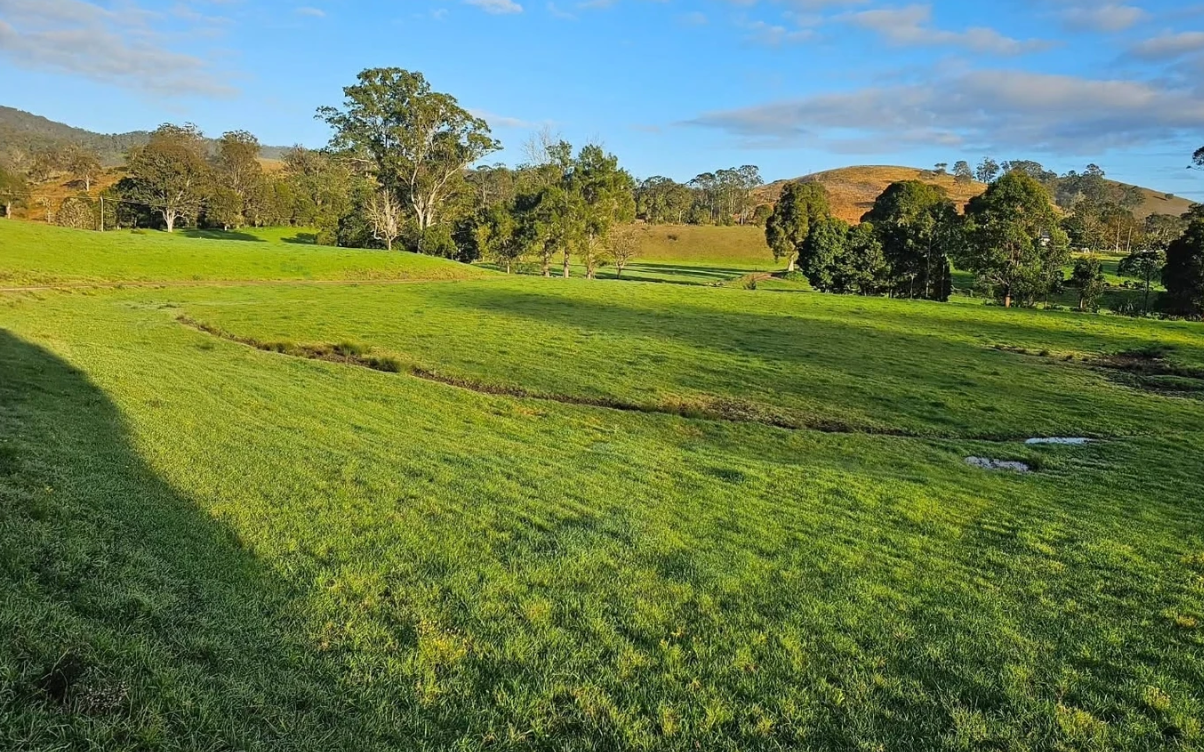 1989 Waukivory Road, Waukivory via, Gloucester, NSW 2422