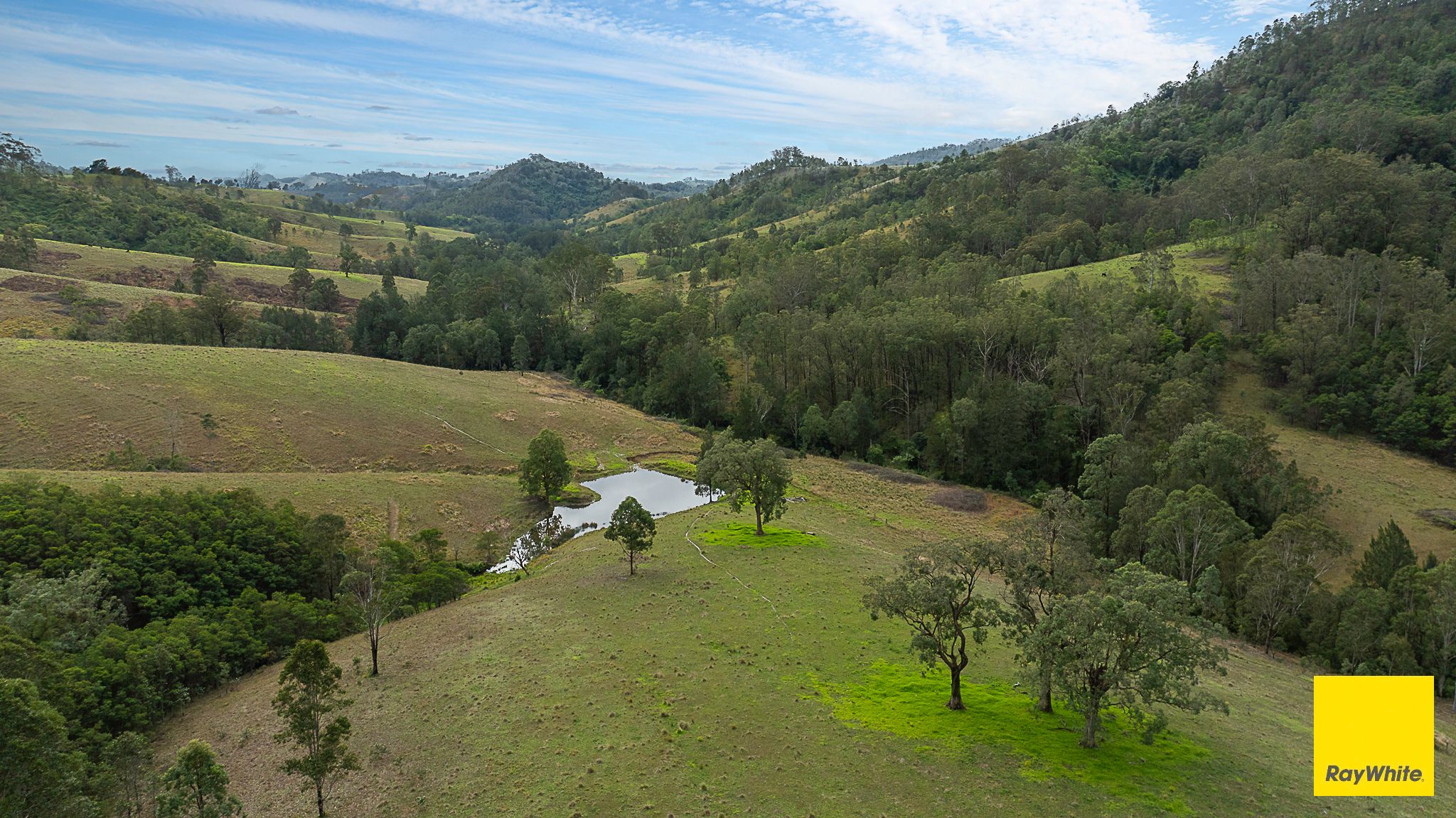 260 Dog Trap Creek Road — photo 23 of 24