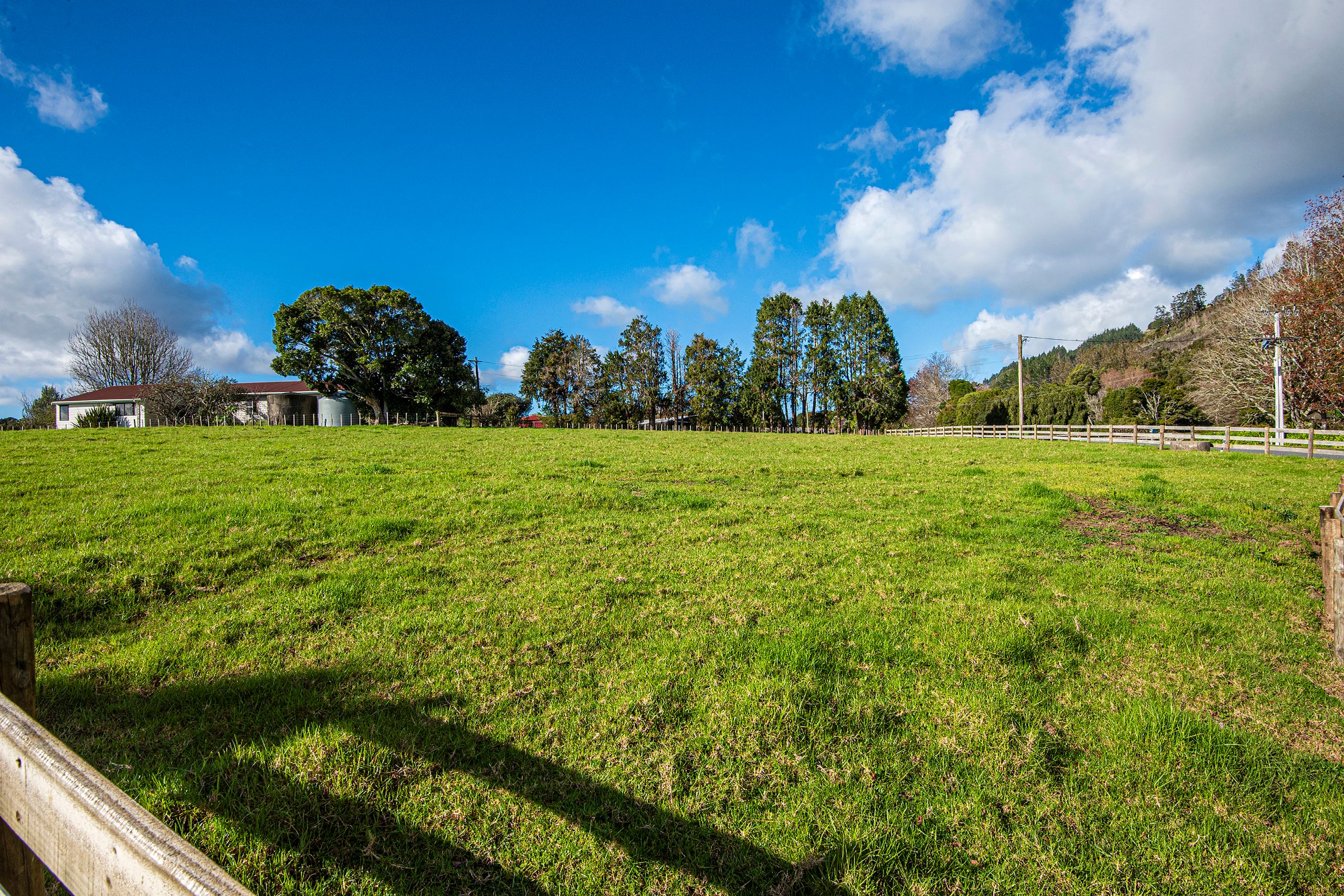 437 Crane Road, Kauri, Whangarei District 0185 Section for Sale Ray White Whangarei