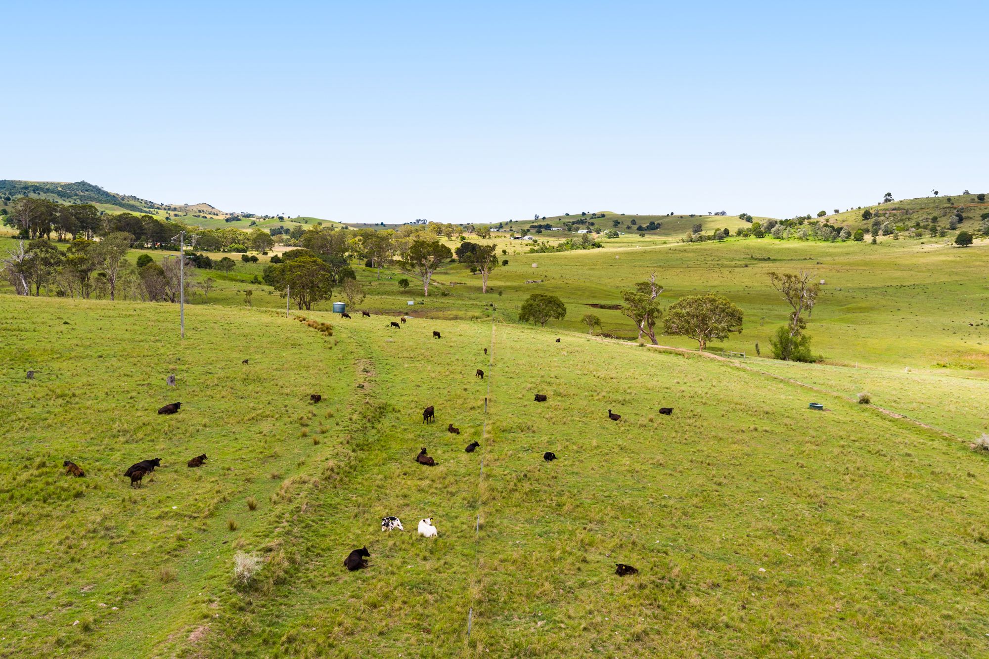 138 Djuan Road, Crows Nest, QLD 4355