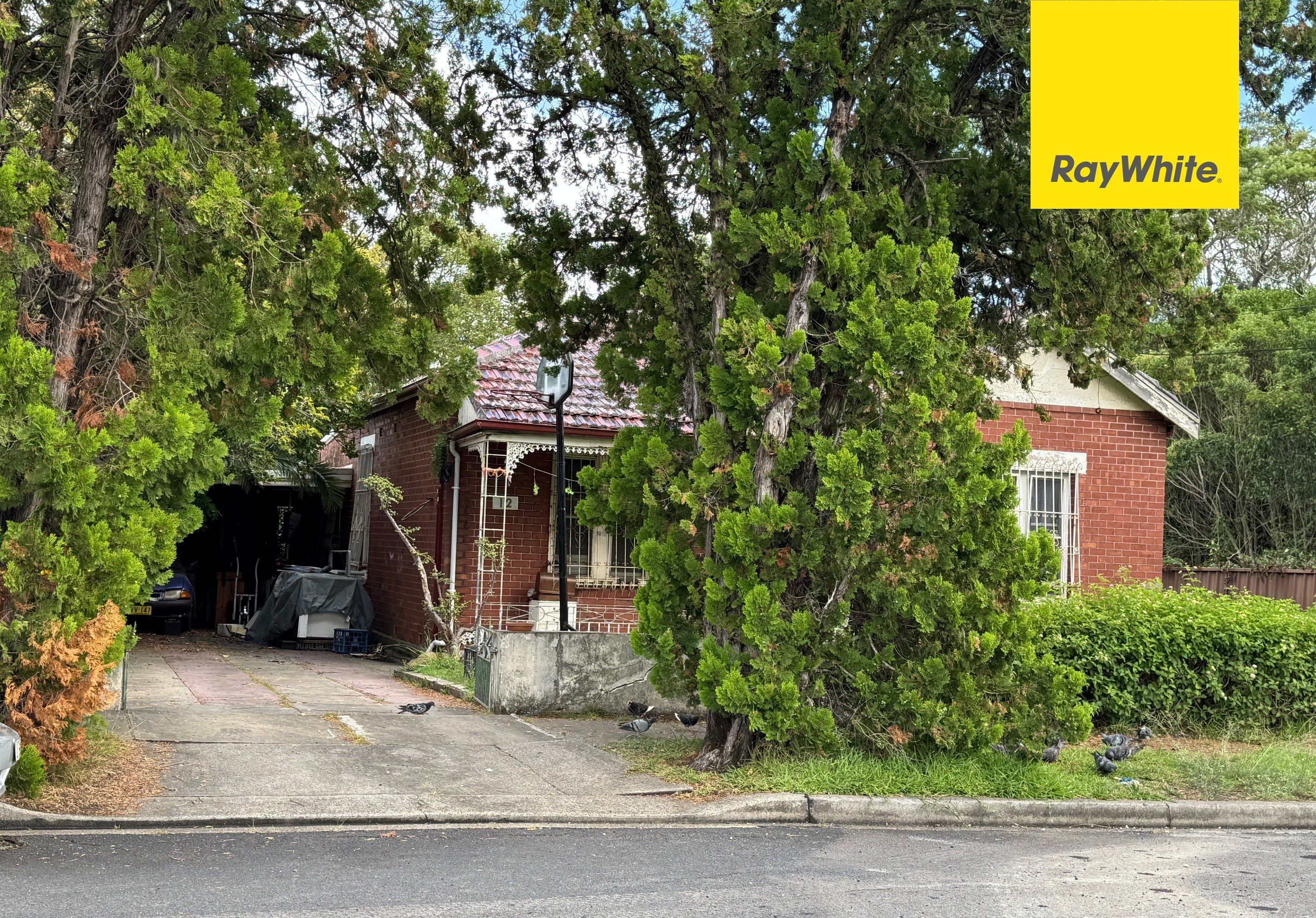 12 George Street, Lidcombe, NSW 2141