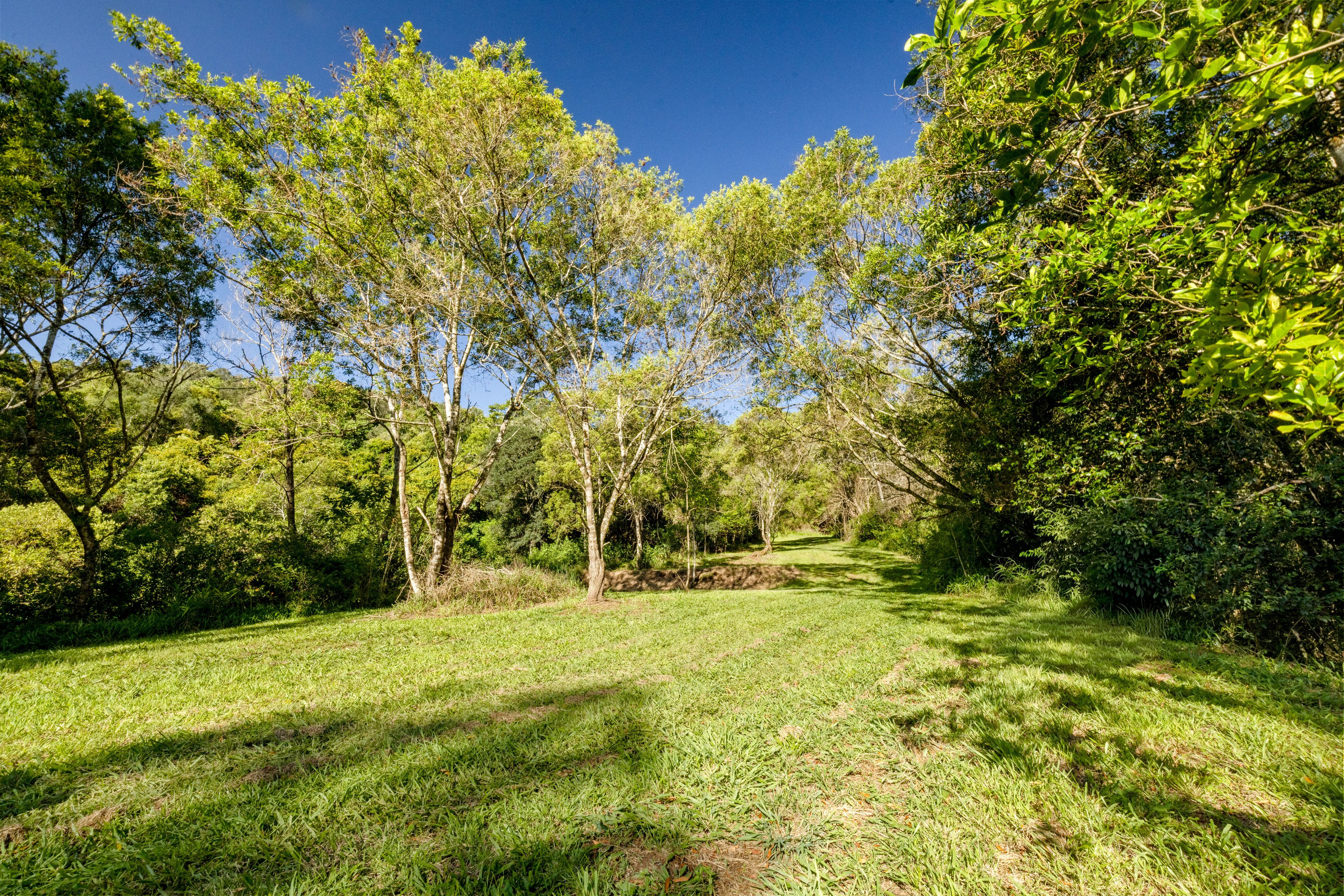 "Bariya" 586 Maleny-Montville Road — photo 27 of 30