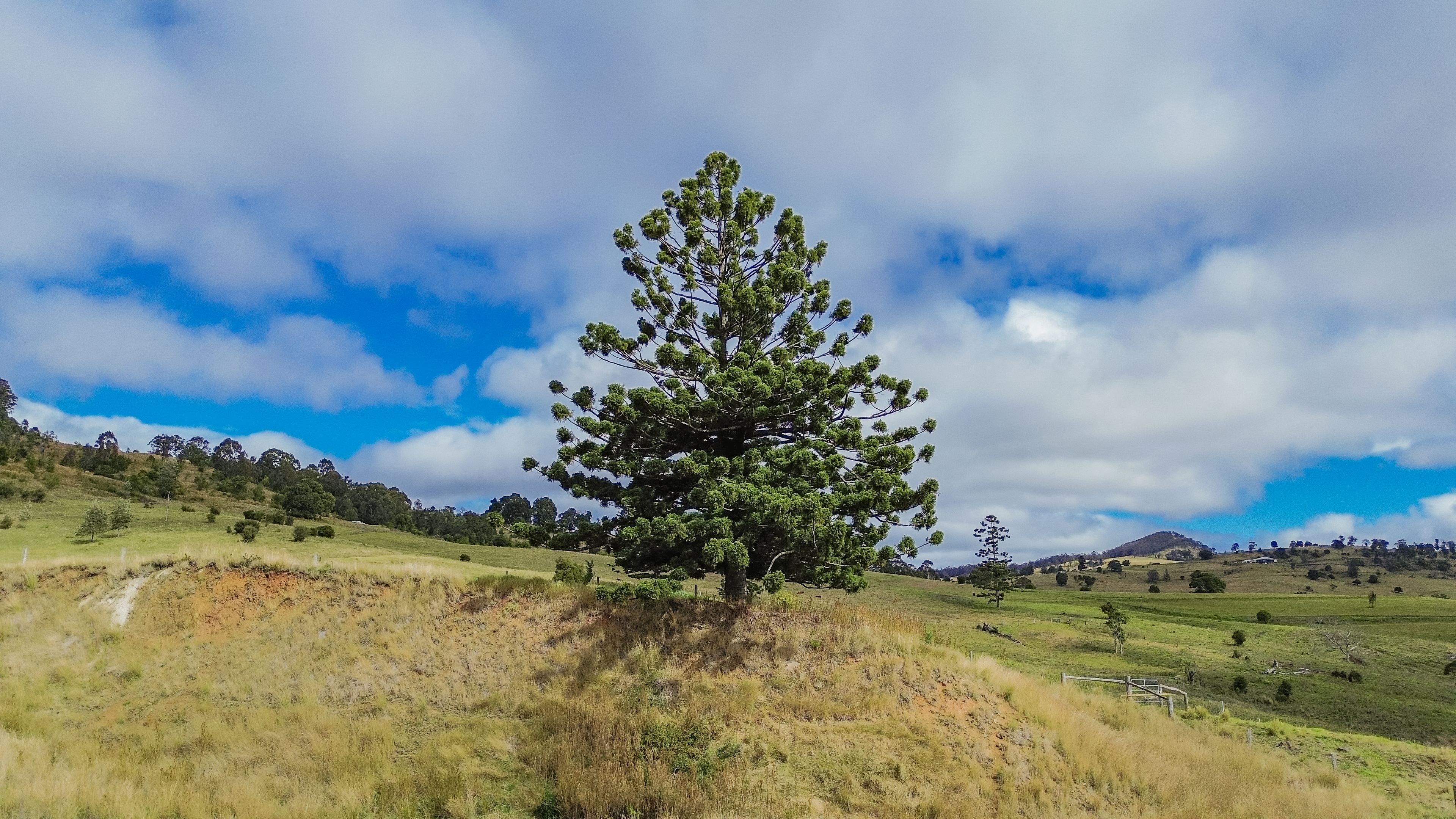 88 Spring Creek Road, Killarney, QLD 4373