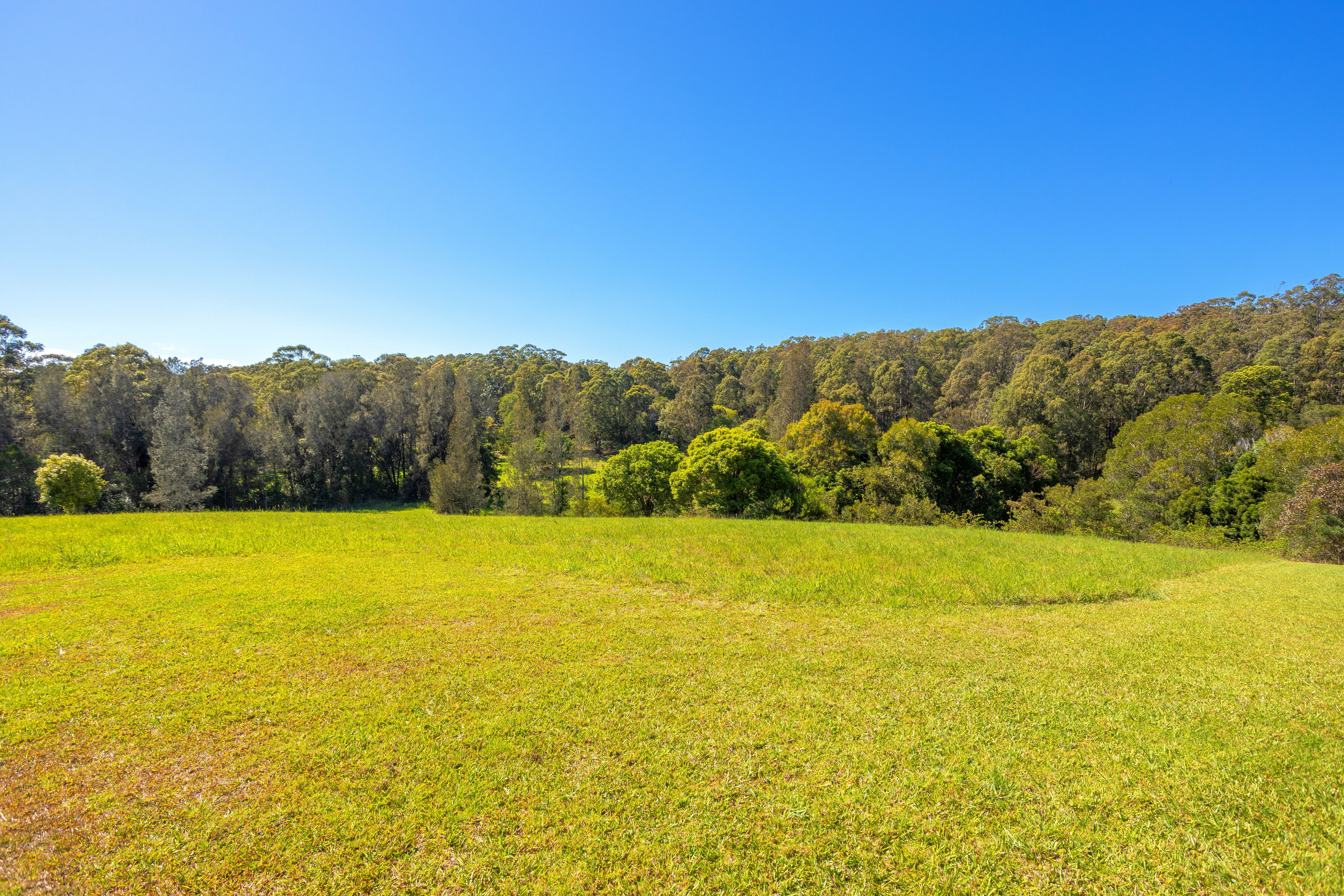 42 Panorama Drive, Diamond Beach, NSW 2430 Land for Sale Ray White