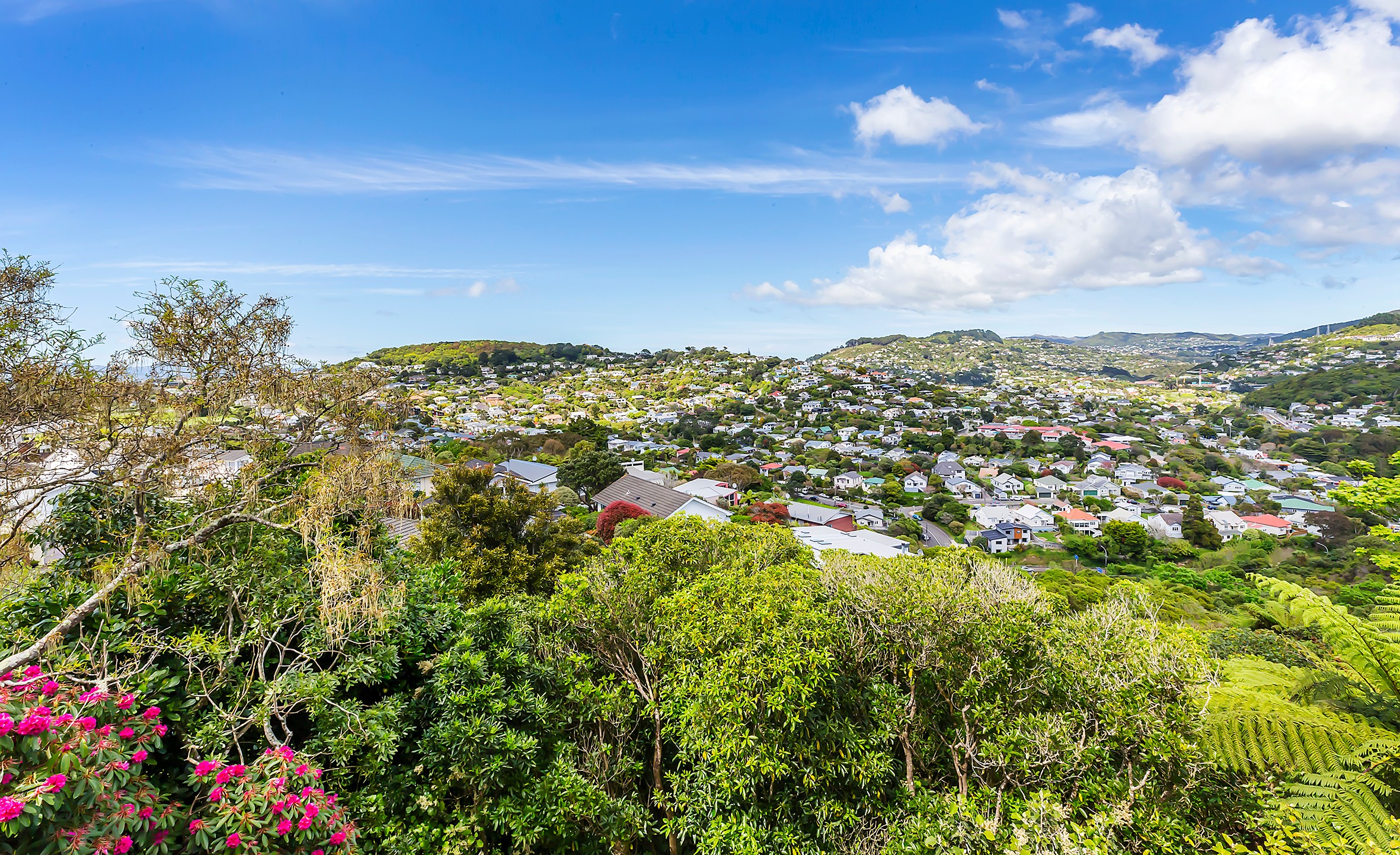 7 Kau Kau Way, Ngaio, Wellington City