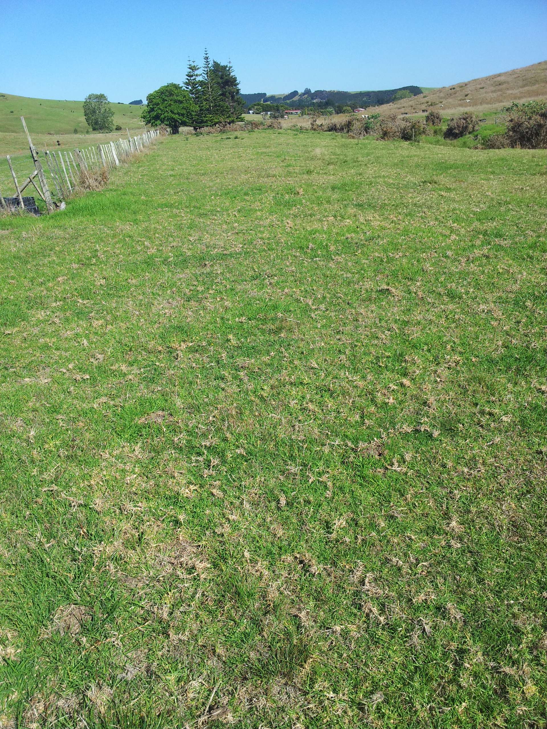 Lot 4 Subdivision of 36 Te Moho Road photo 3