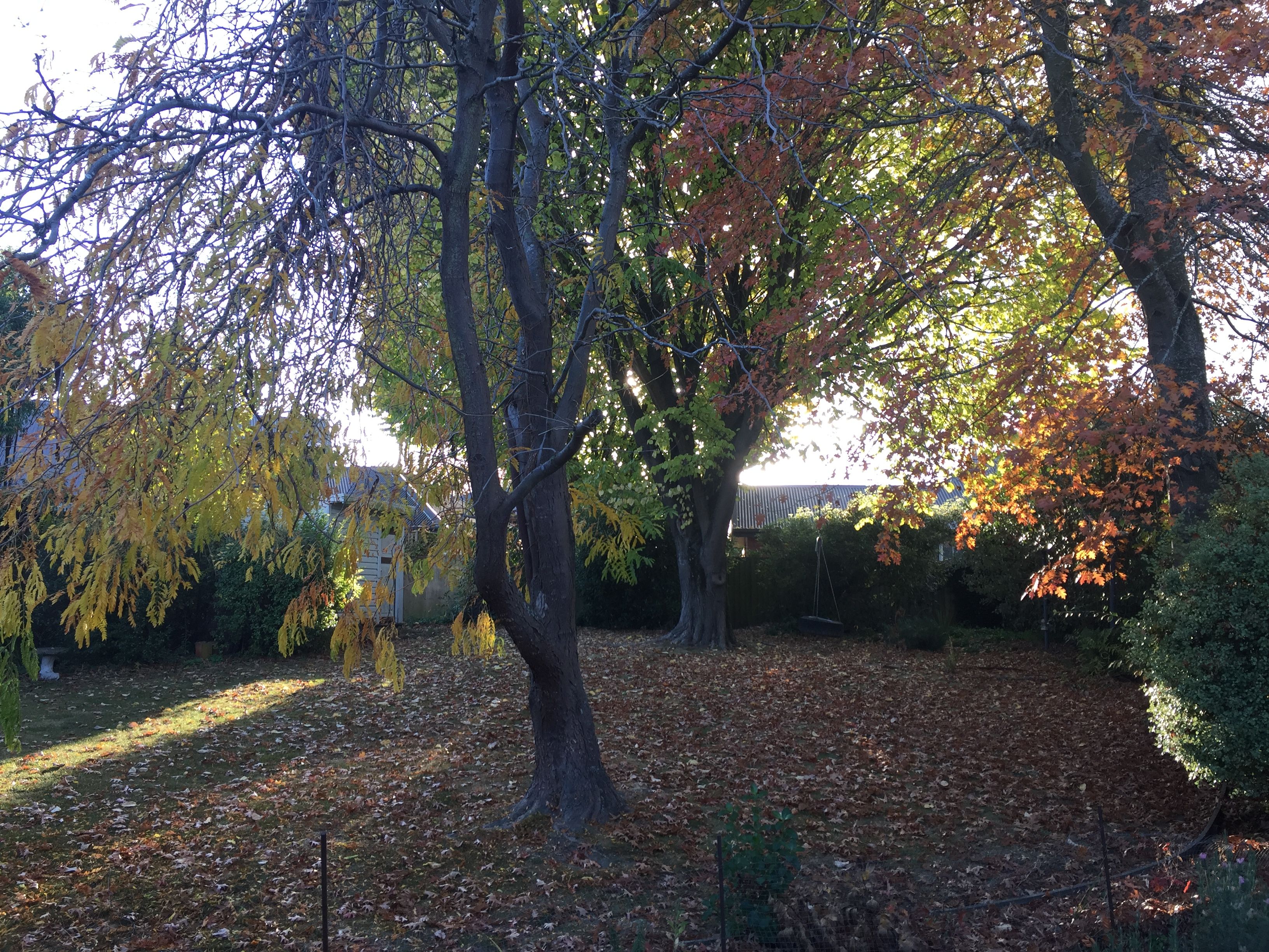 84 Windermere Road (Fully Furnished), Papanui, Christchurch City