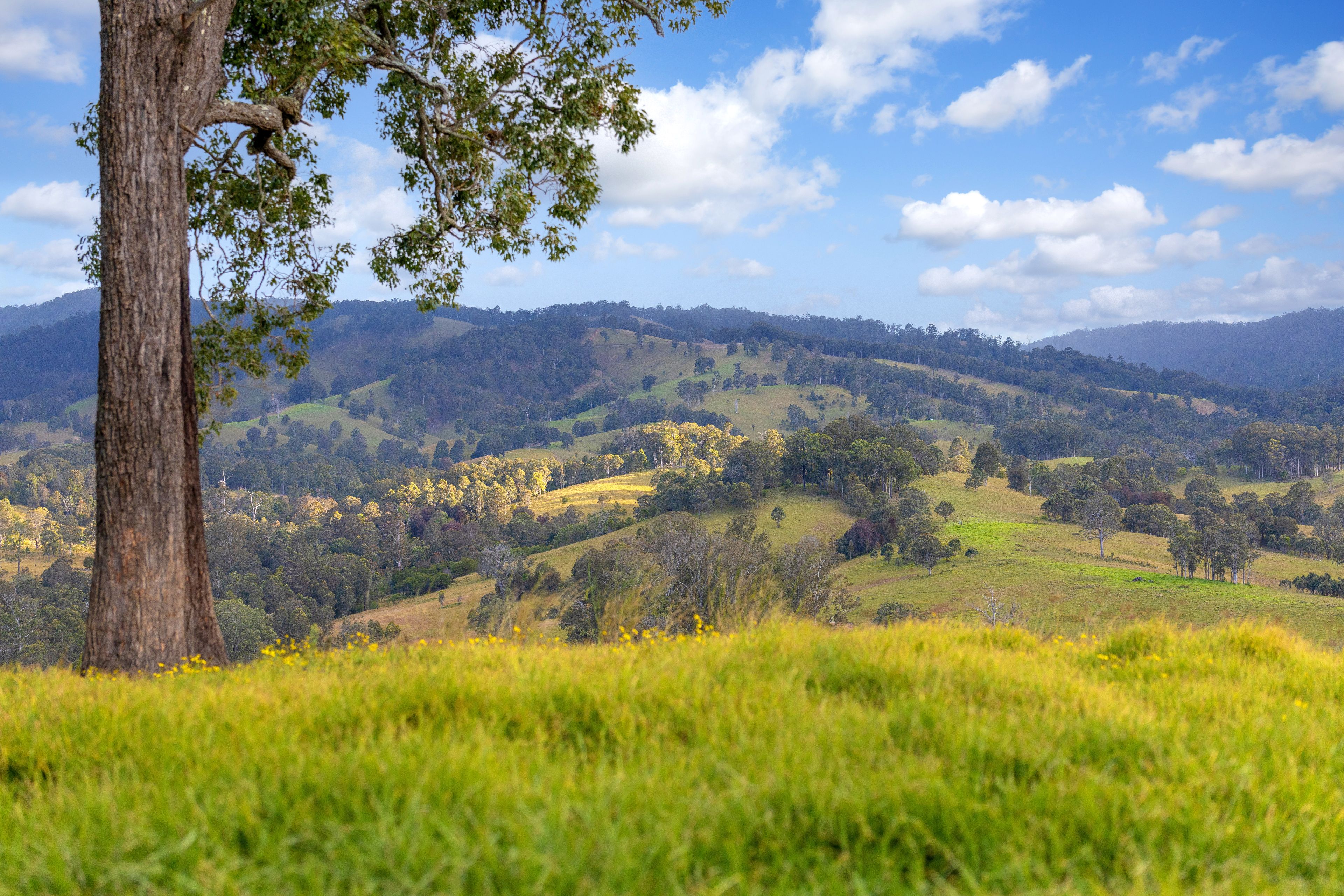 159 Yates Road, Bucca Wauka, NSW 2429 Sold Rural Mixed Farming Property Ray White Manning Valley
