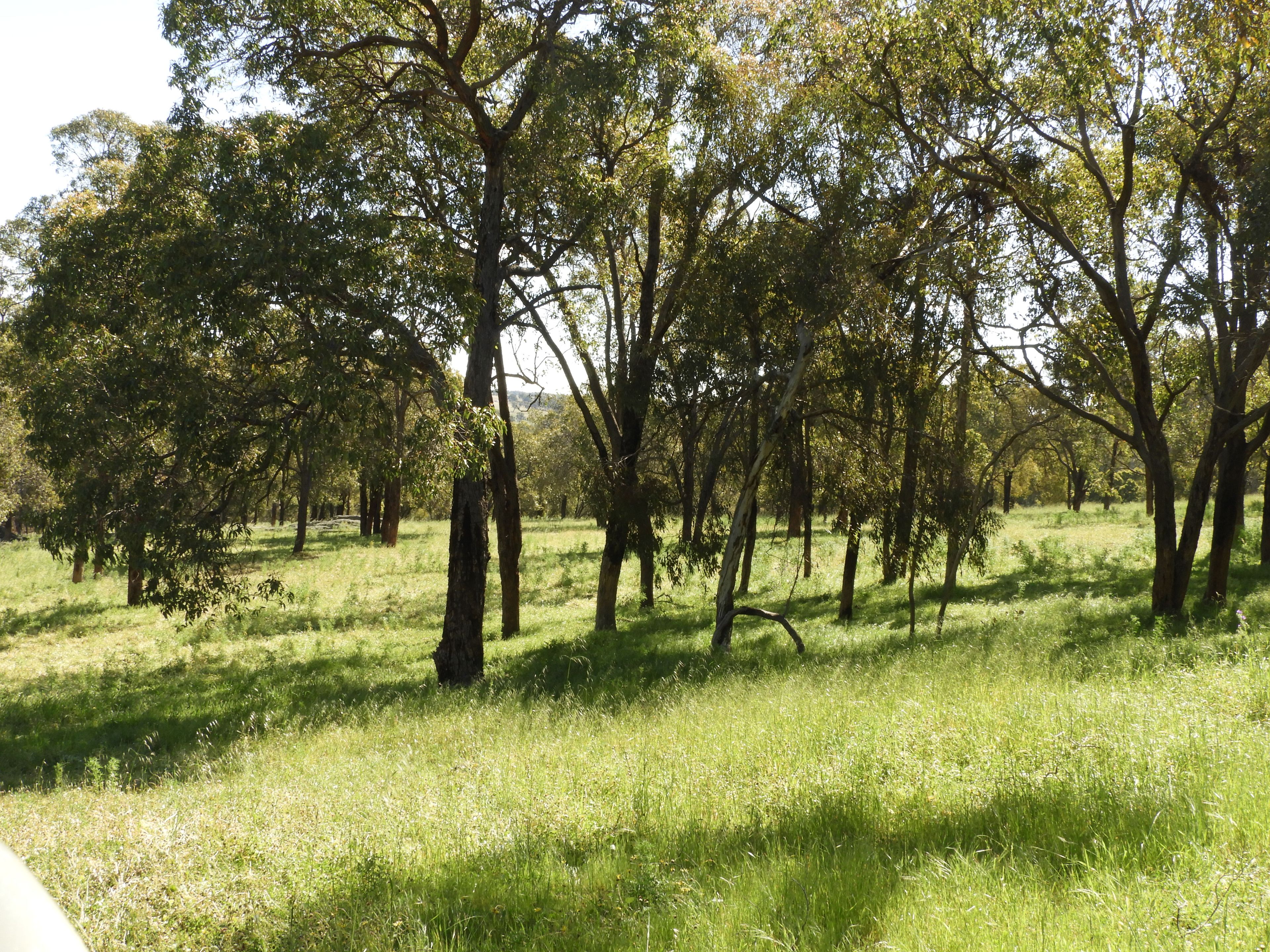 Lot 713 Chittering Rd Lower Chittering, Chittering, WA 6084 Sold