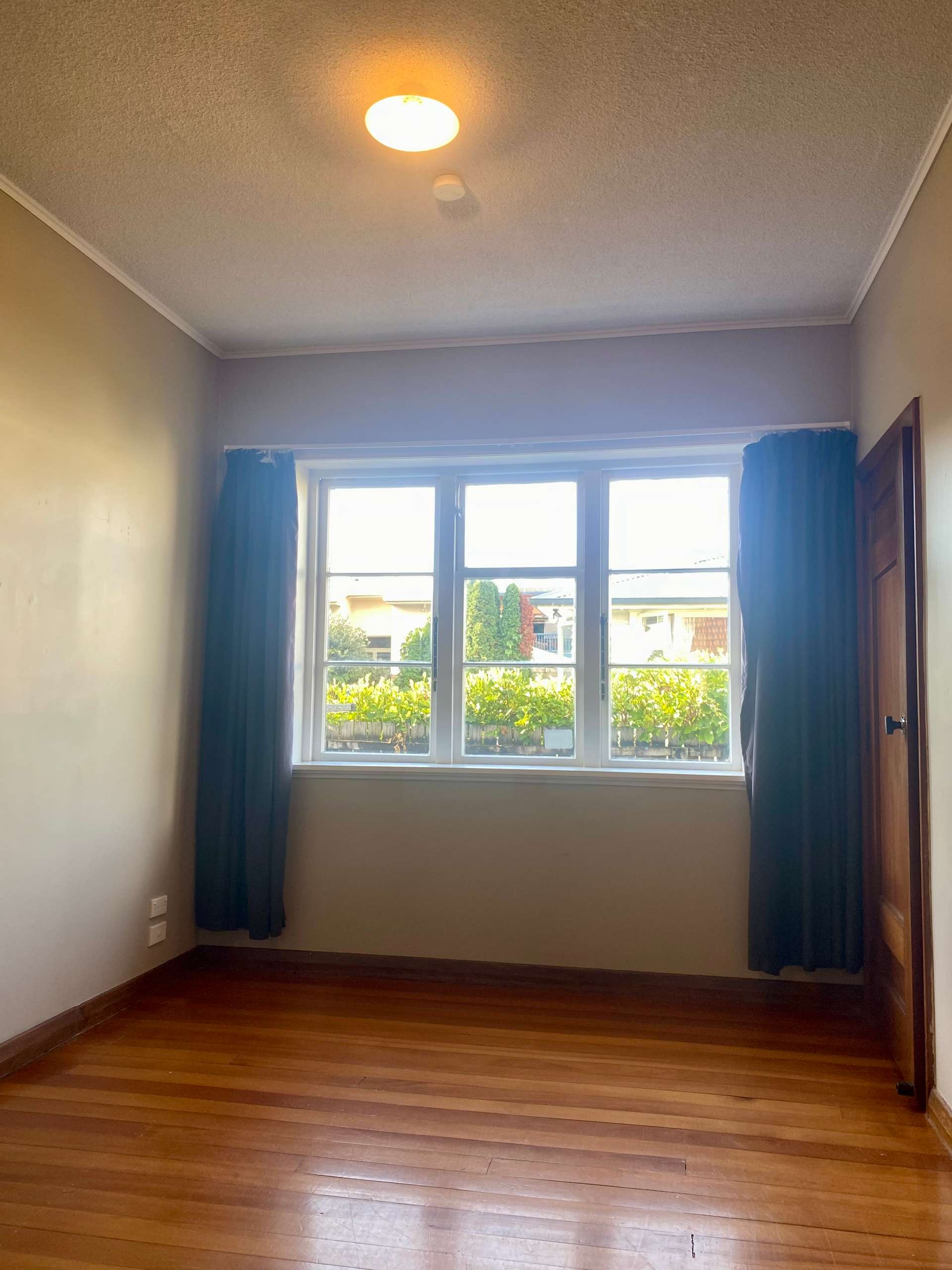 34 Matai Street photo 6