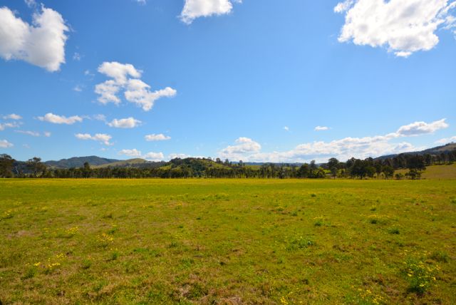 Lot 62, 2680 Glendonbrook Road, Gresford, NSW 2311