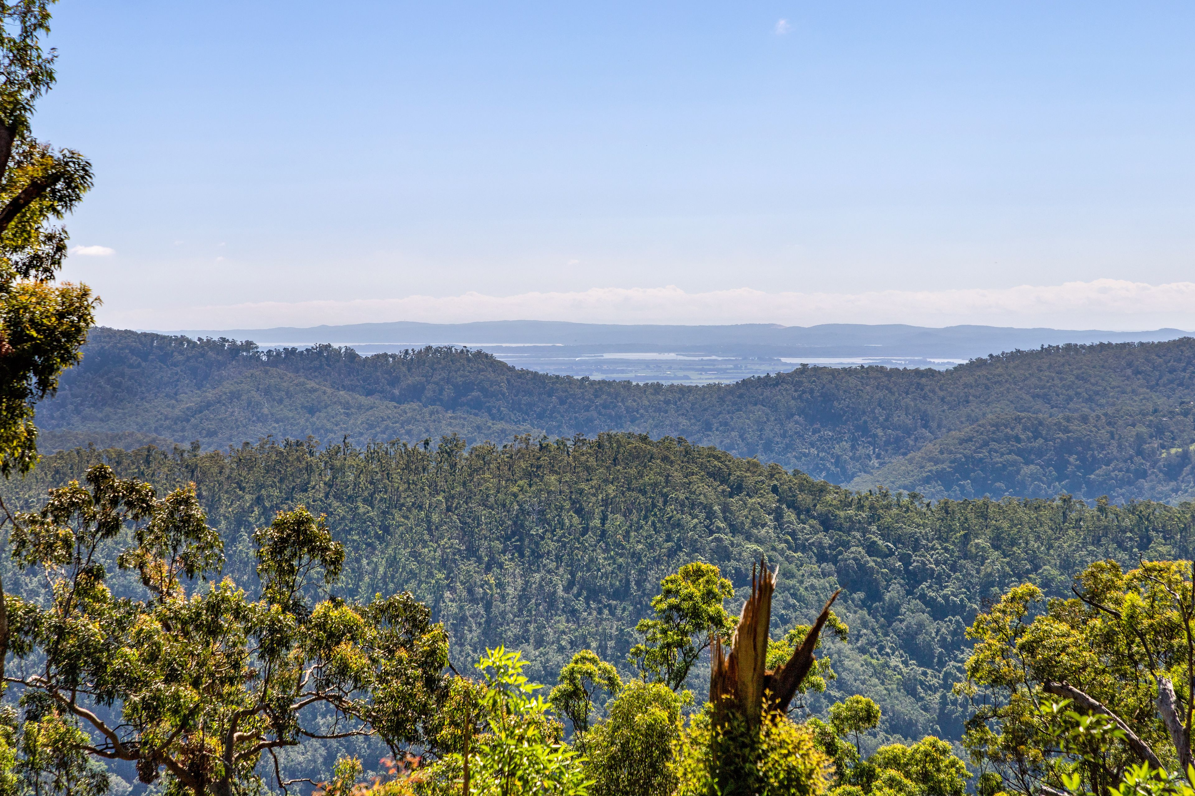 148B Wongawallan Road, Tamborine Mountain, QLD 4272 Rural Lifestyle